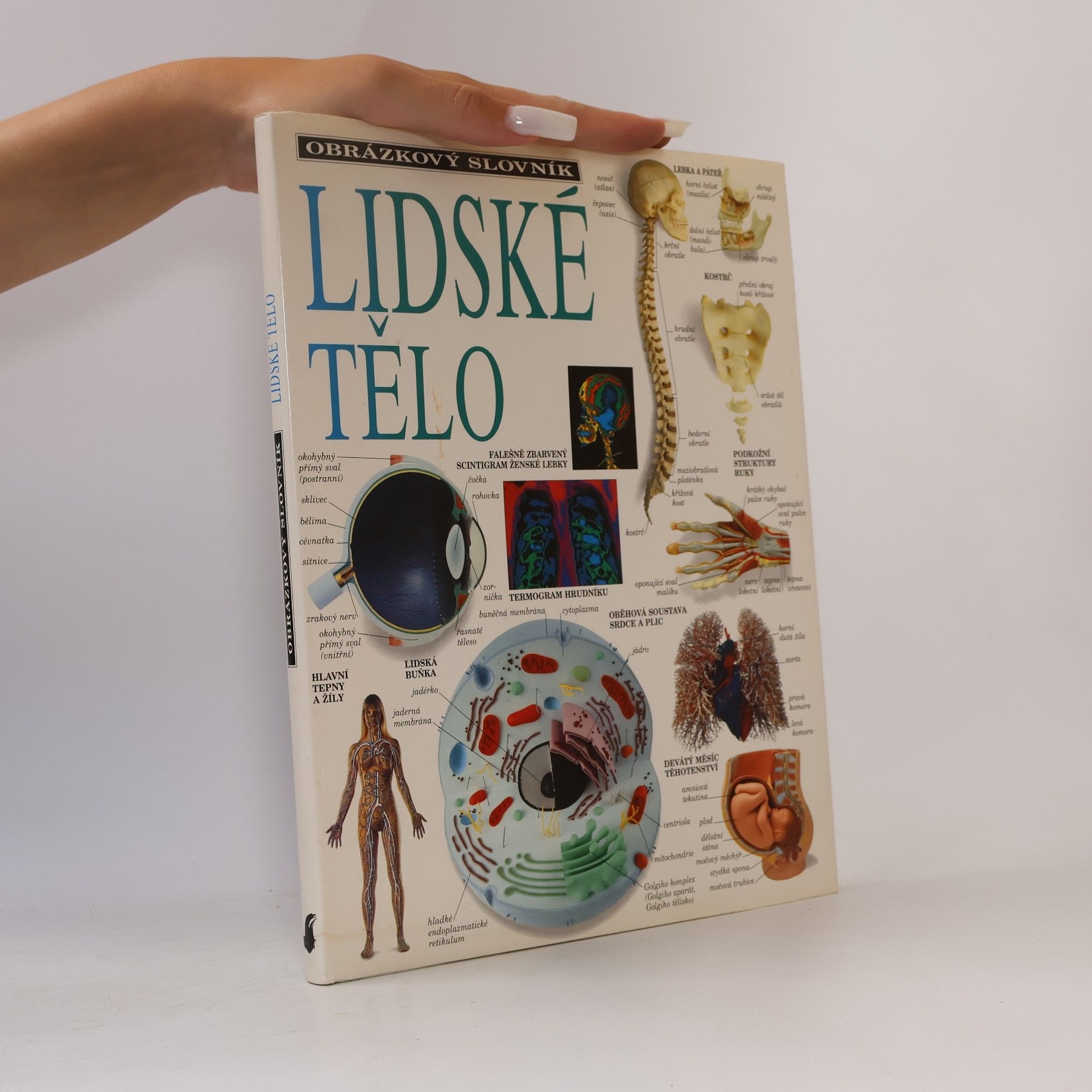 Jana Šedová Lidské tělo