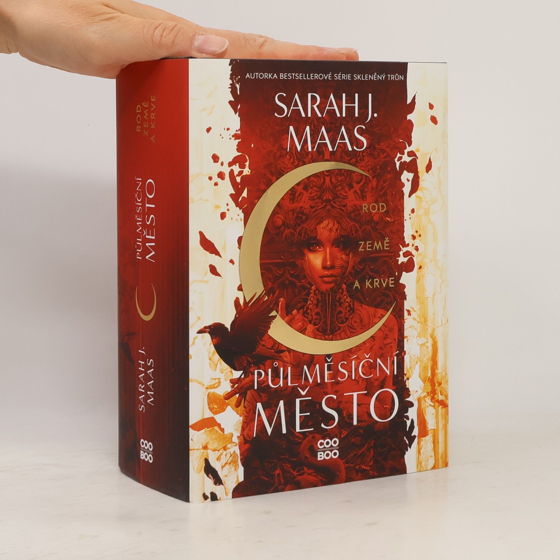 Sarah J. Maas Rod země a krve