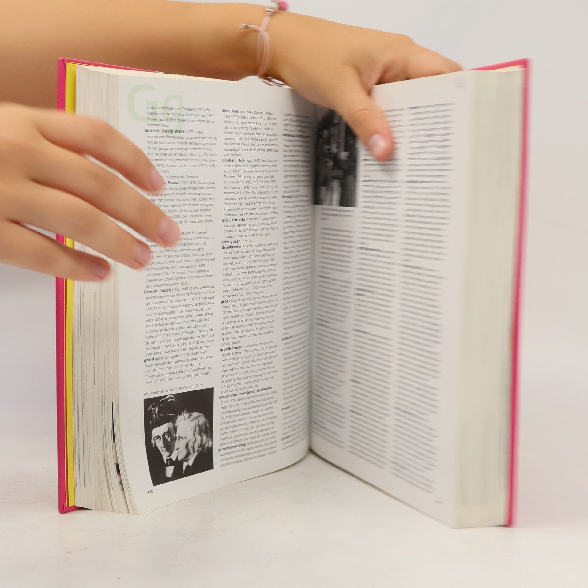 Maggy Groenewald-Froger Eendelige Encyclopedie met CD-Rom