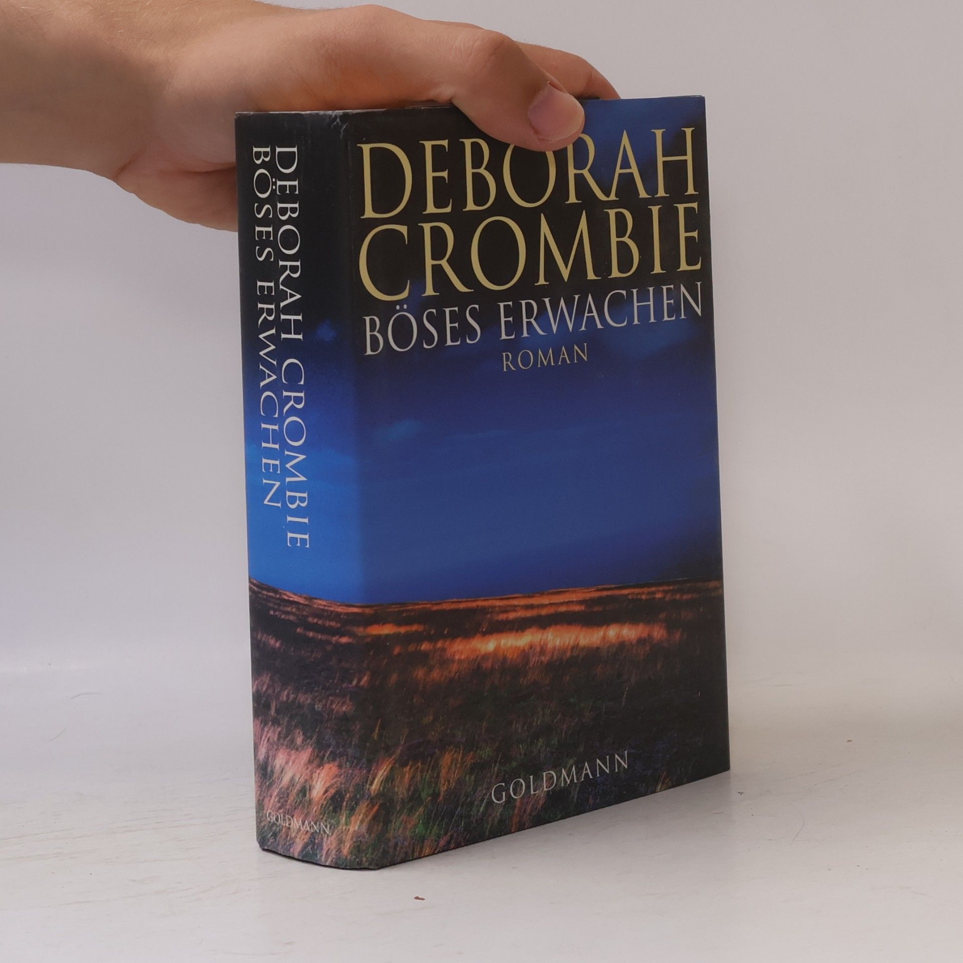 Deborah Crombie Böses Erwachen