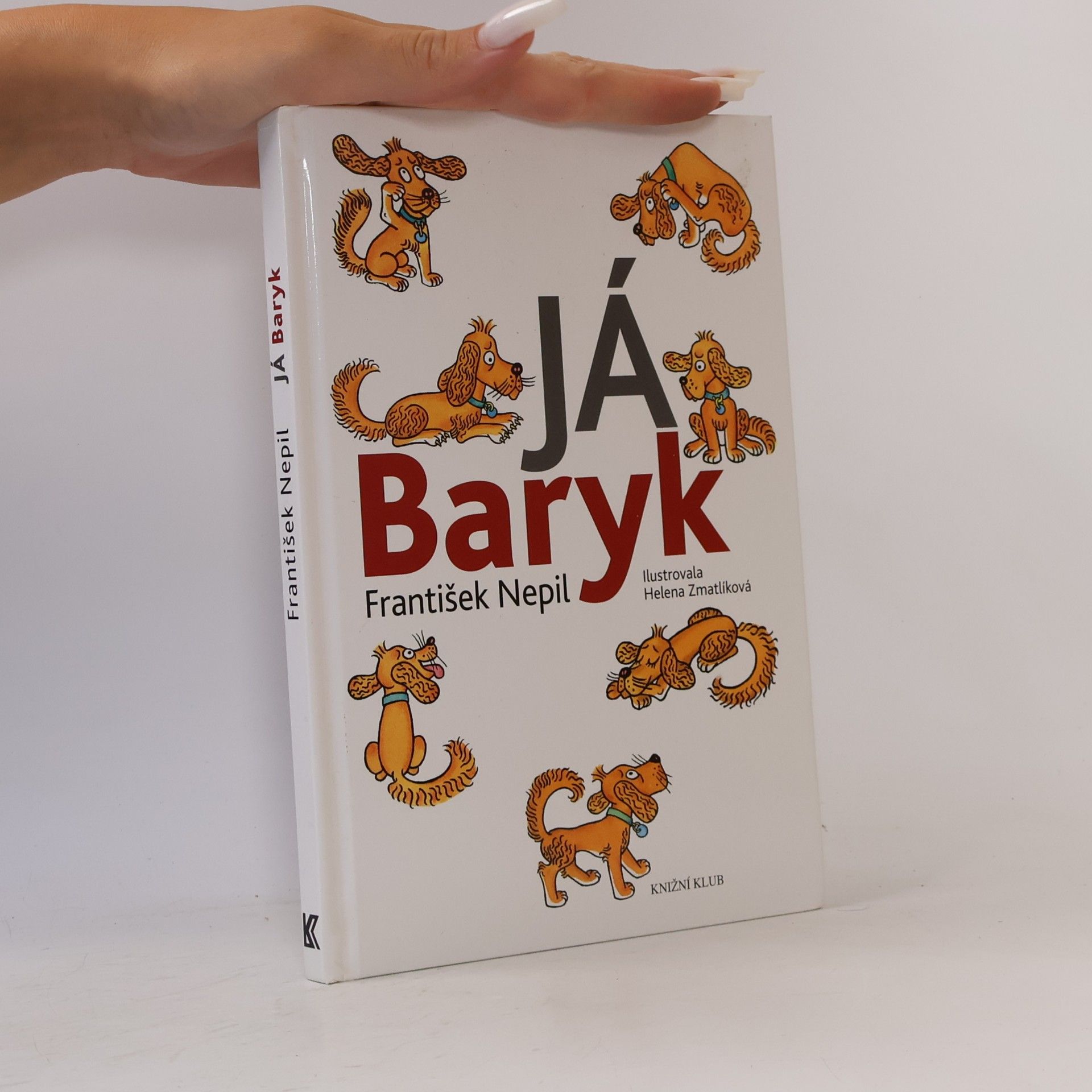 František Nepil Já, Baryk