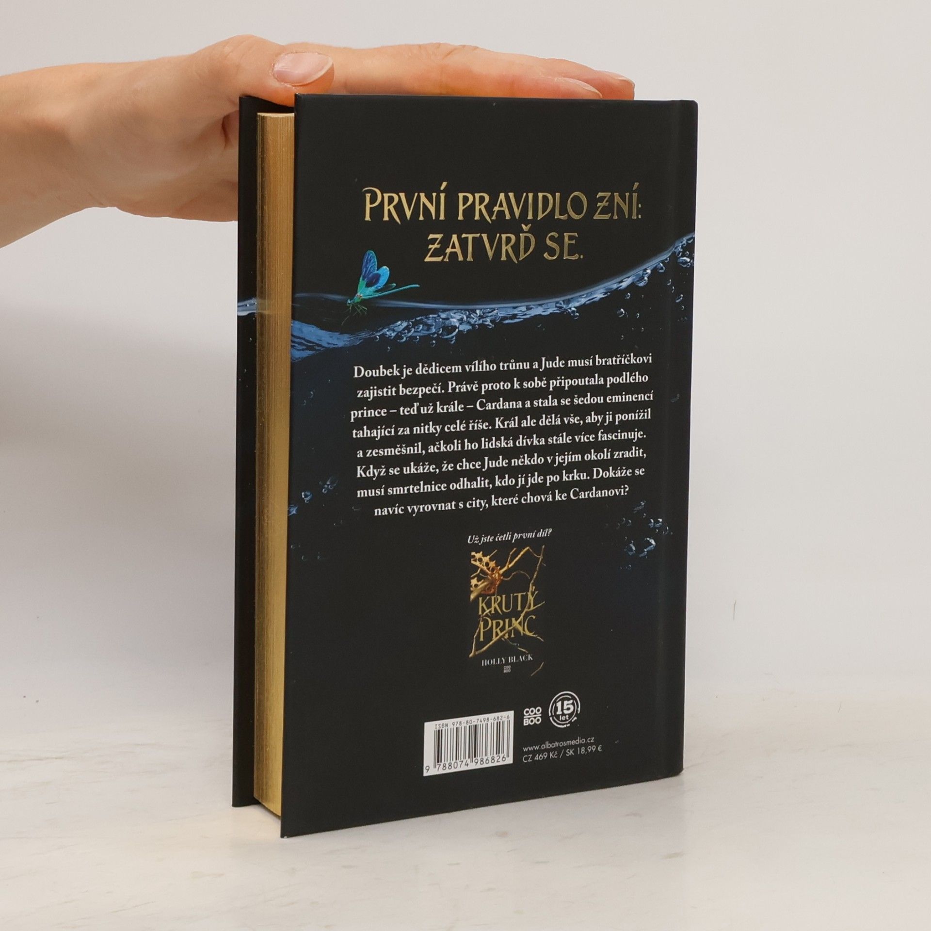 Holly Black Podlý král