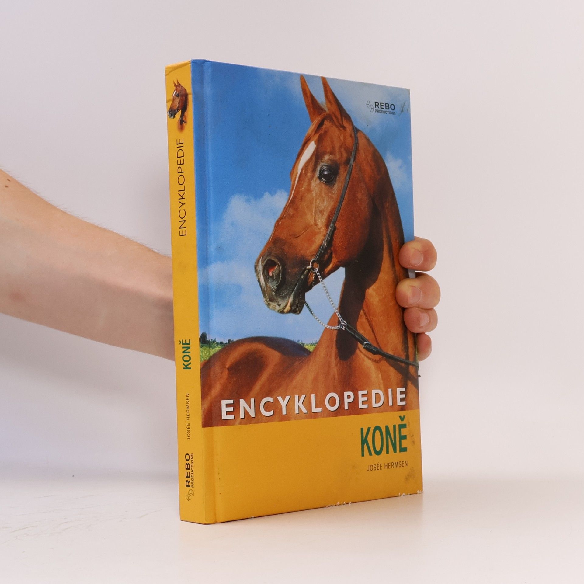 Kateřina Hlavová Koně : encyklopedie