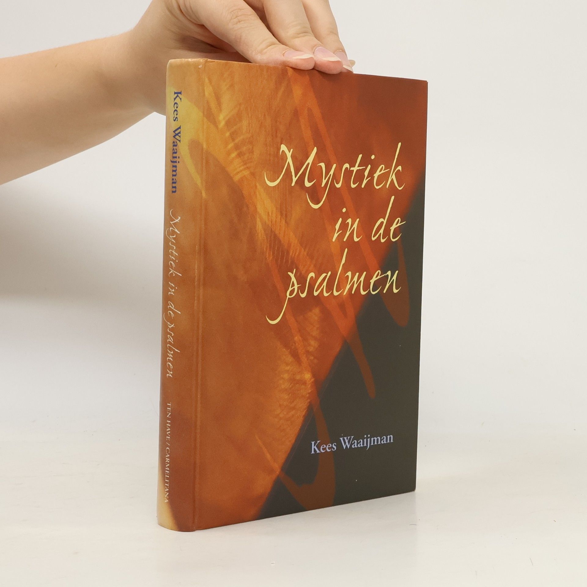 Kees Waaijman Mystiek in de psalmen / druk 2