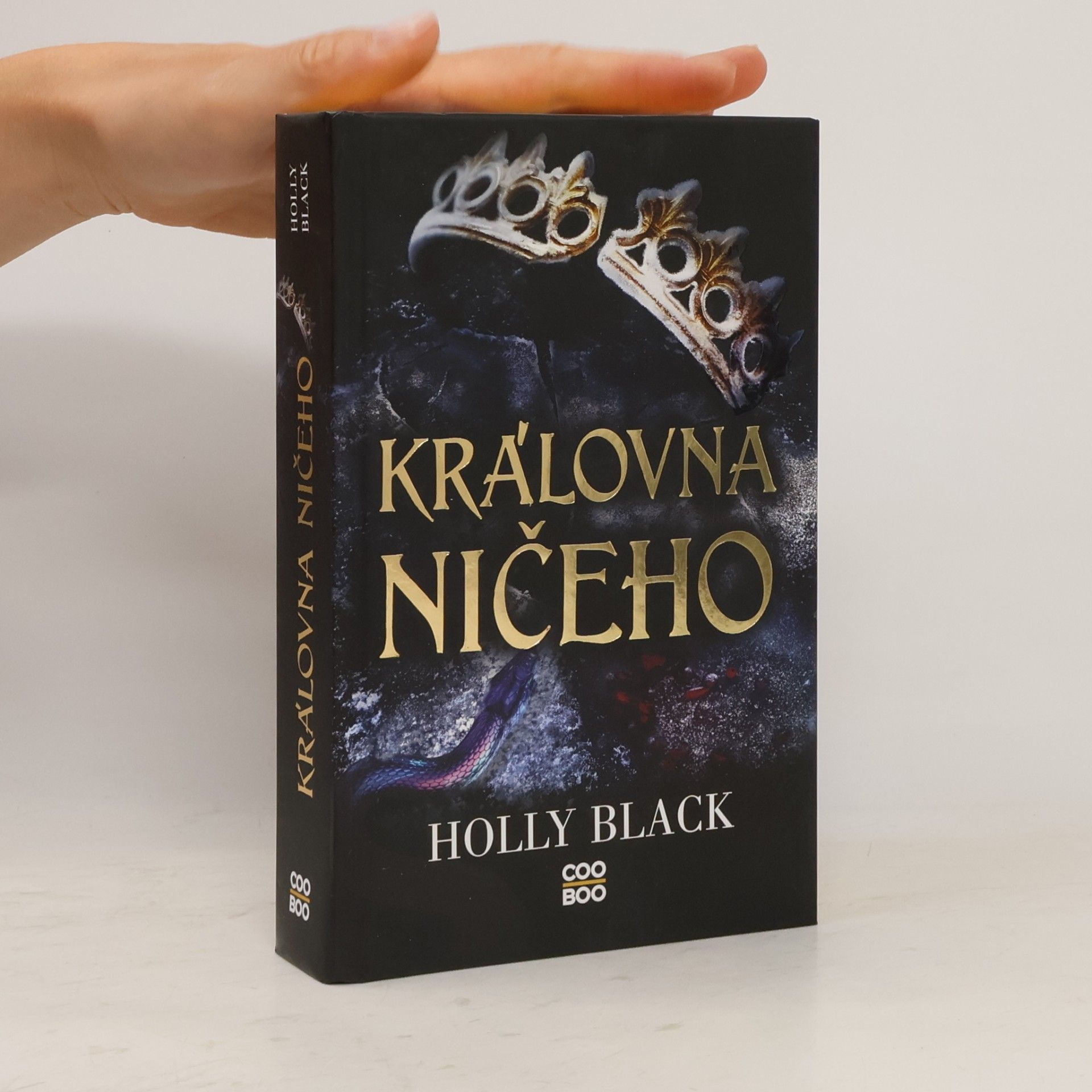 Holly Black Královna ničeho