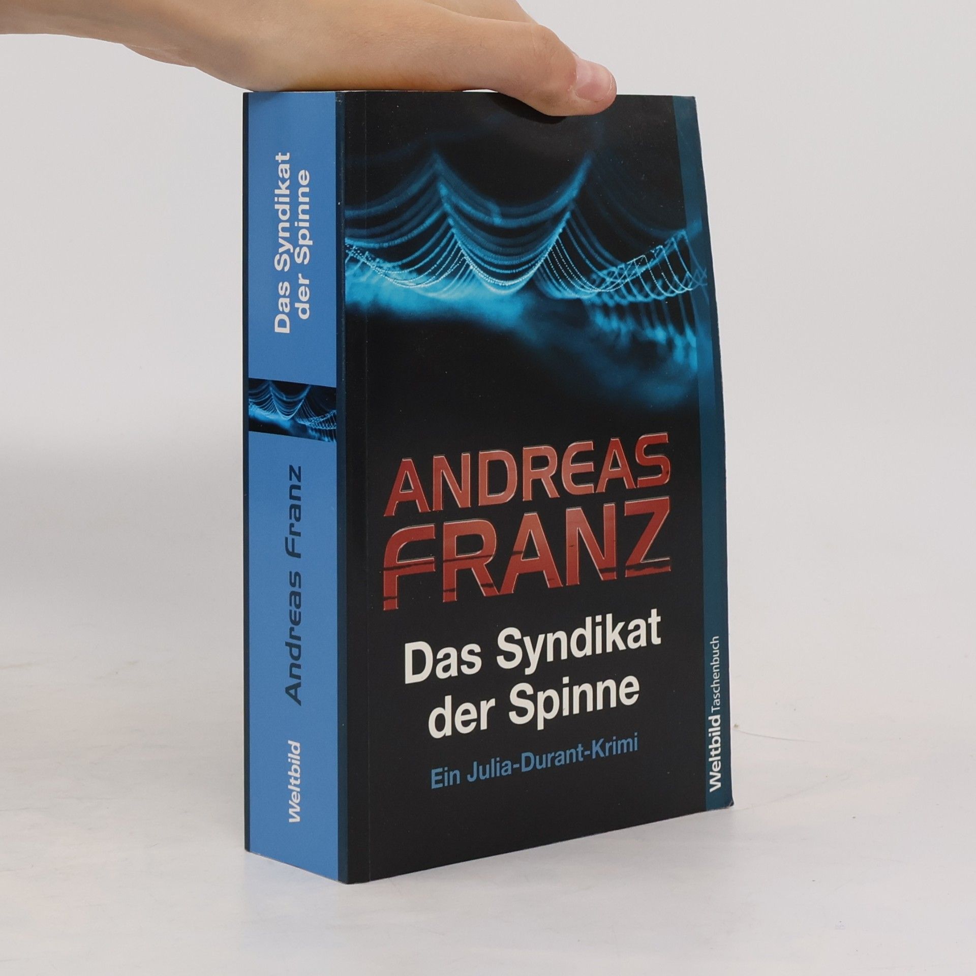 Das Syndikat der Spinne