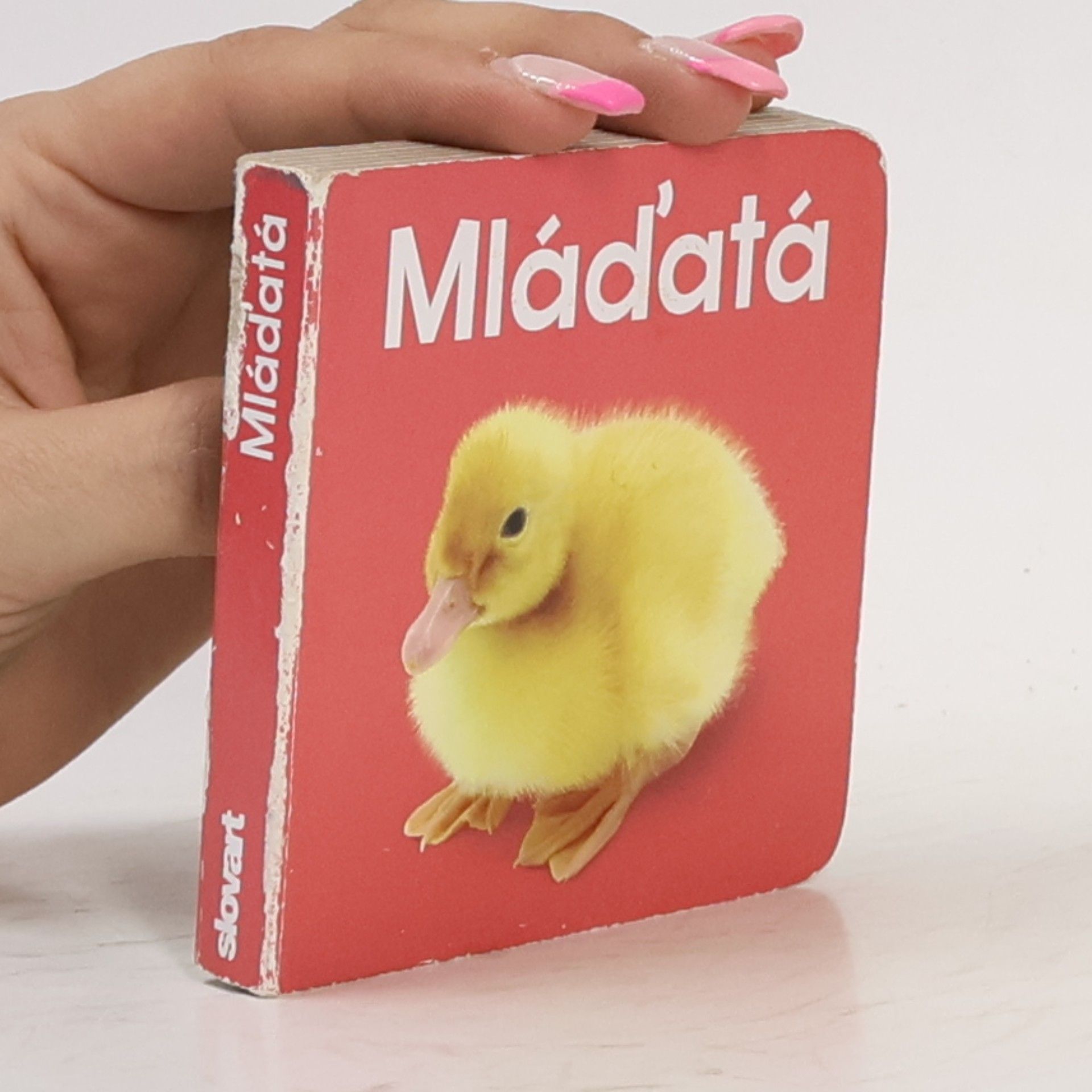 AA.VV. Mláďatá