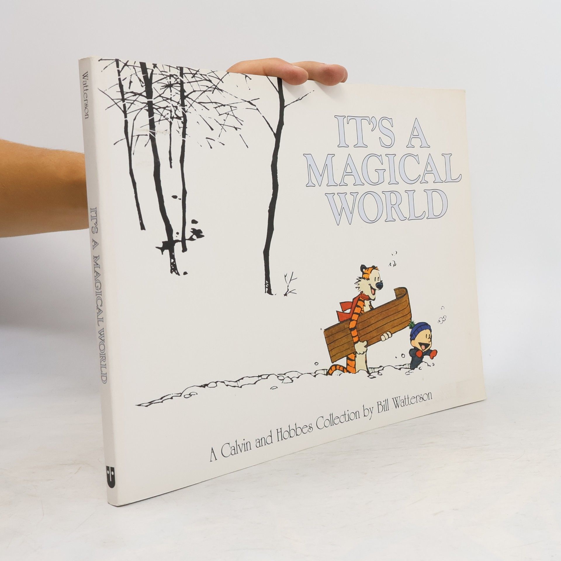 Bill Watterson II It's a Magical World