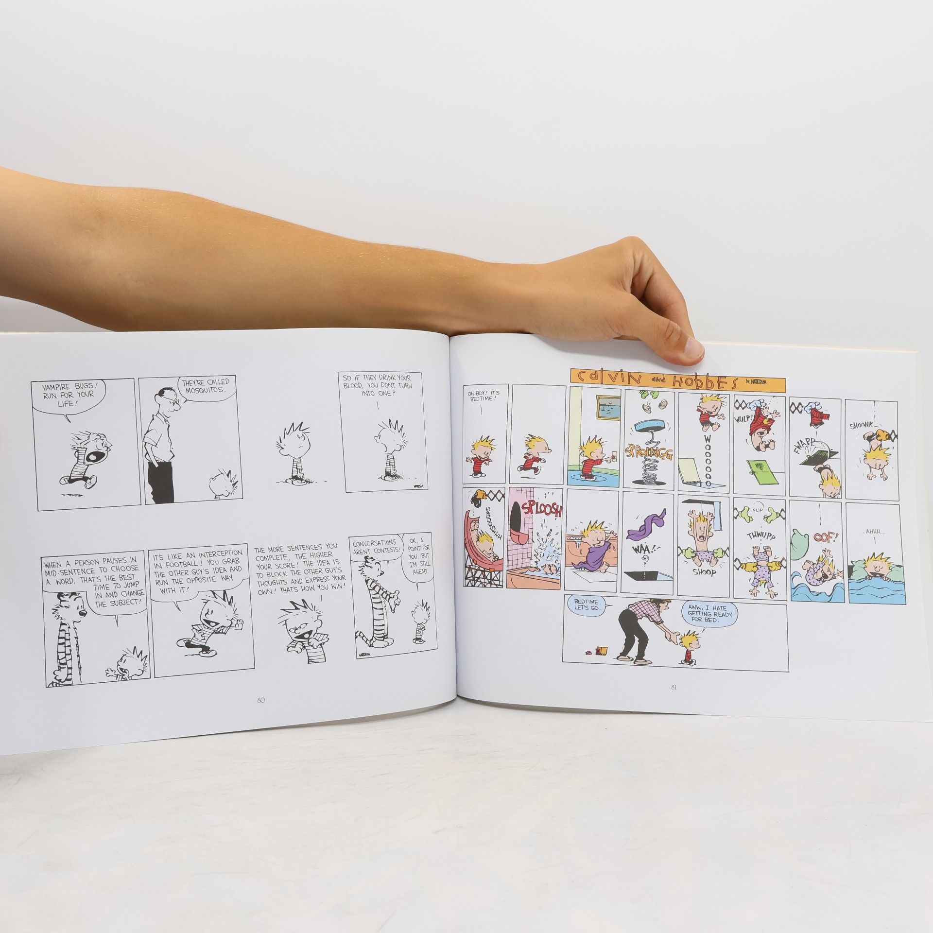 Bill Watterson It's a Magical World