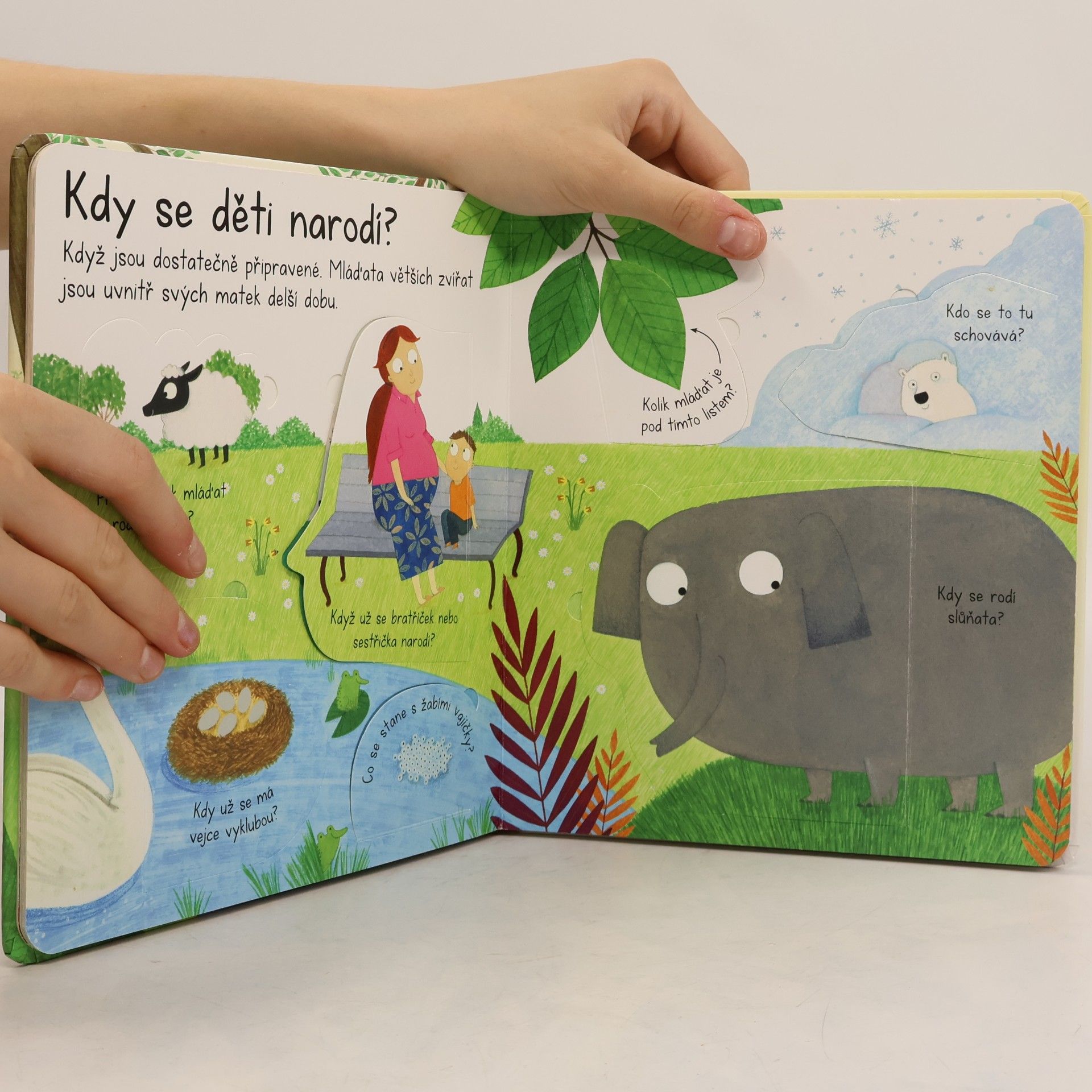 Katie Daynes Odkud přicházejí děti? : první otázky a odpovědi