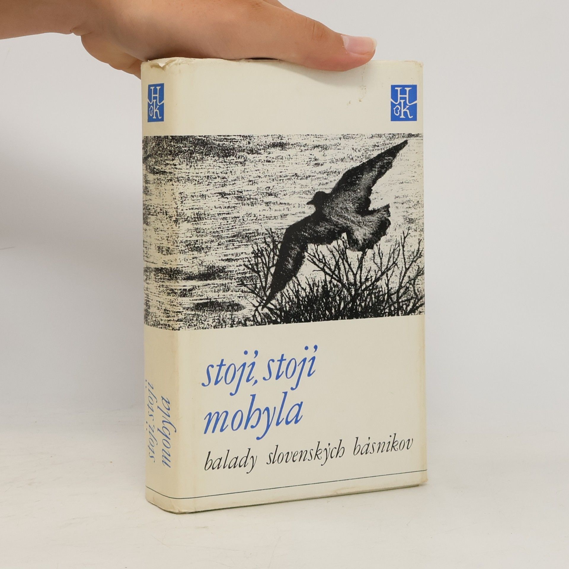 Jozef Hvišč Stojí, stojí mohyla