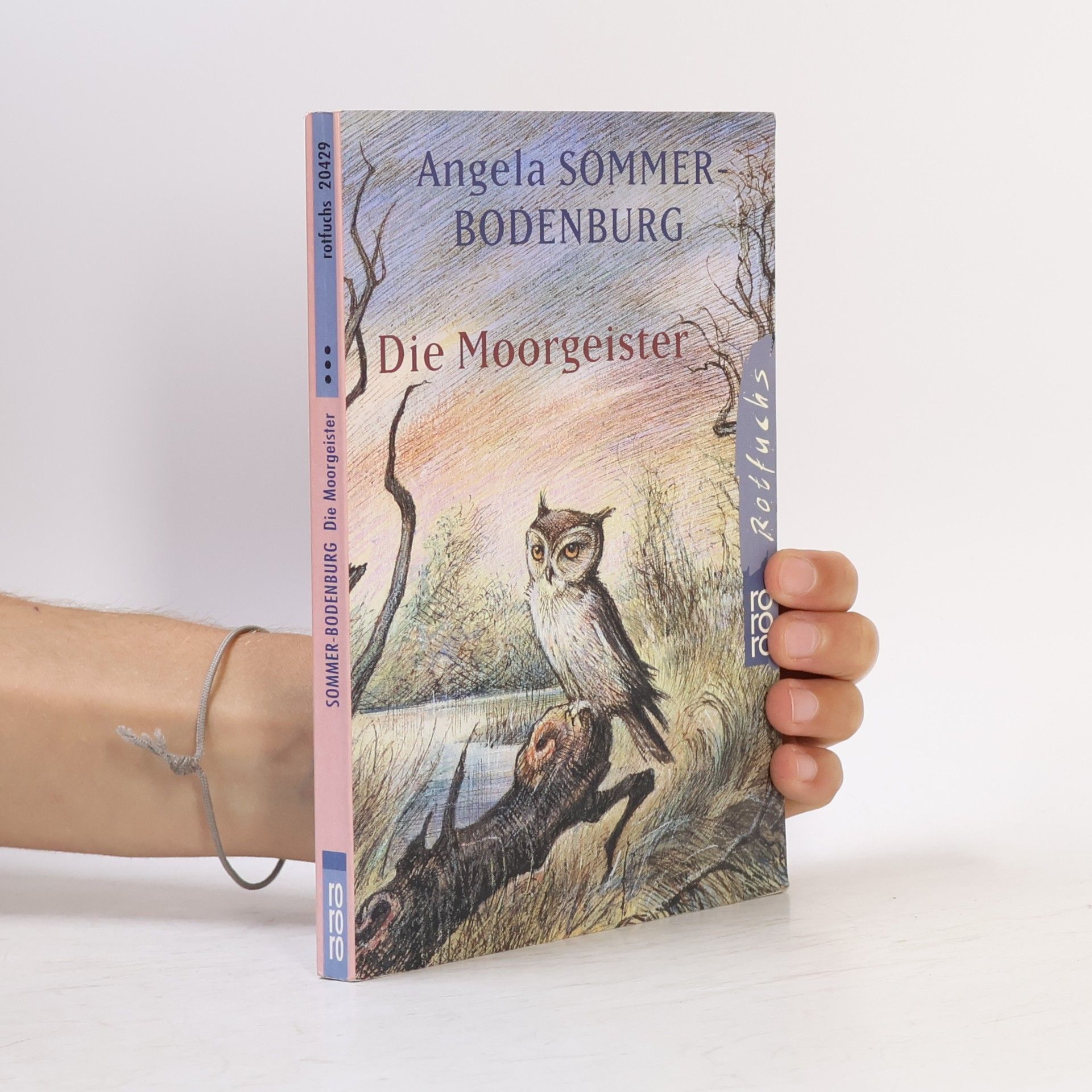 Angela Sommer-Bodenburg Die Moorgeister