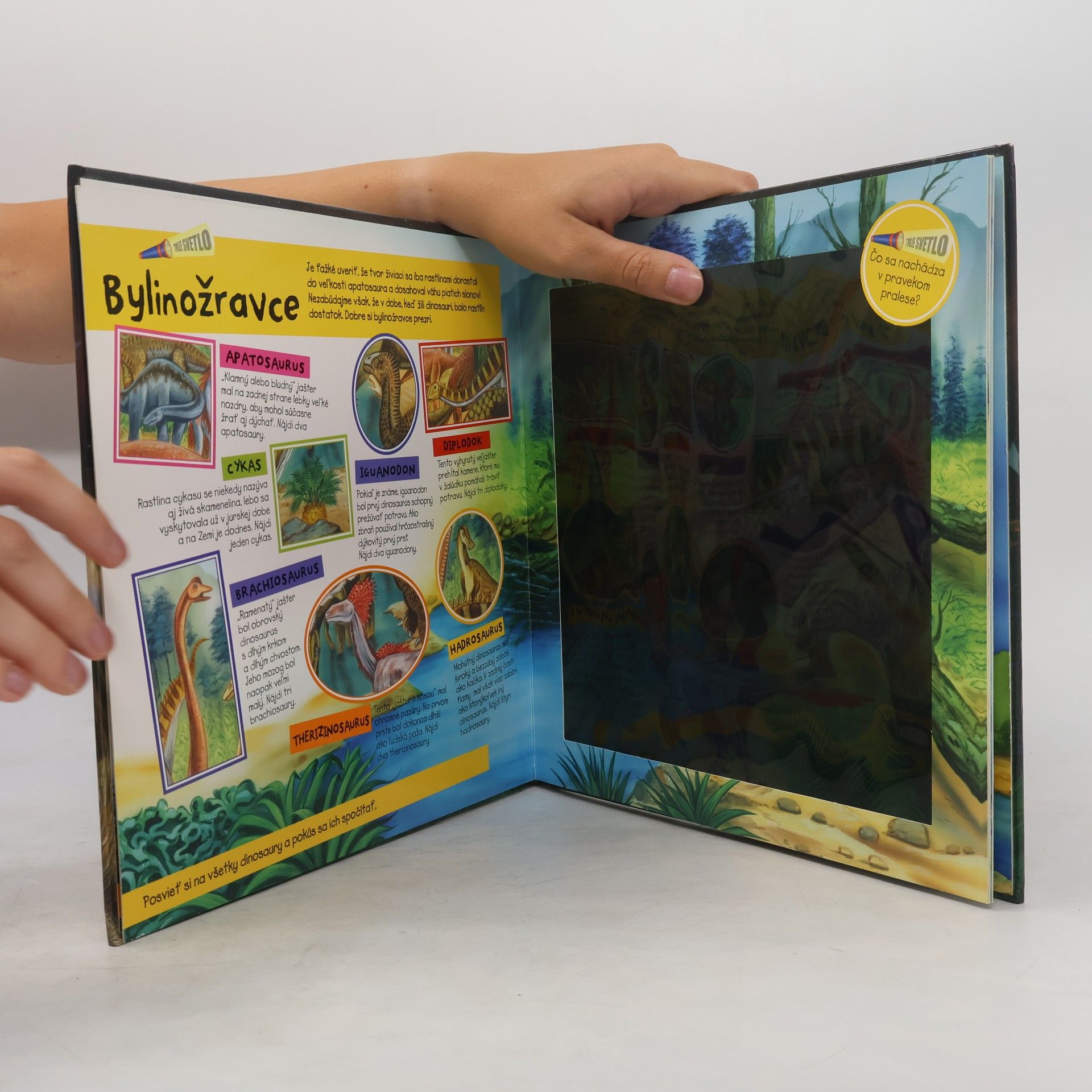 Auteurscollectief Expedícia dinosaury