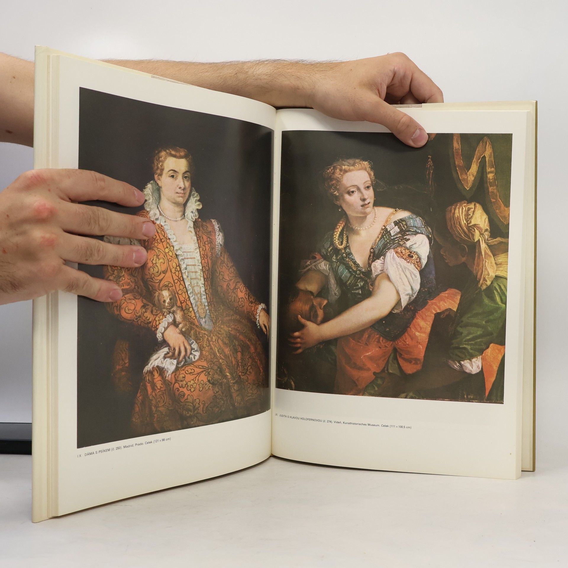 Guido Piovene Veronese