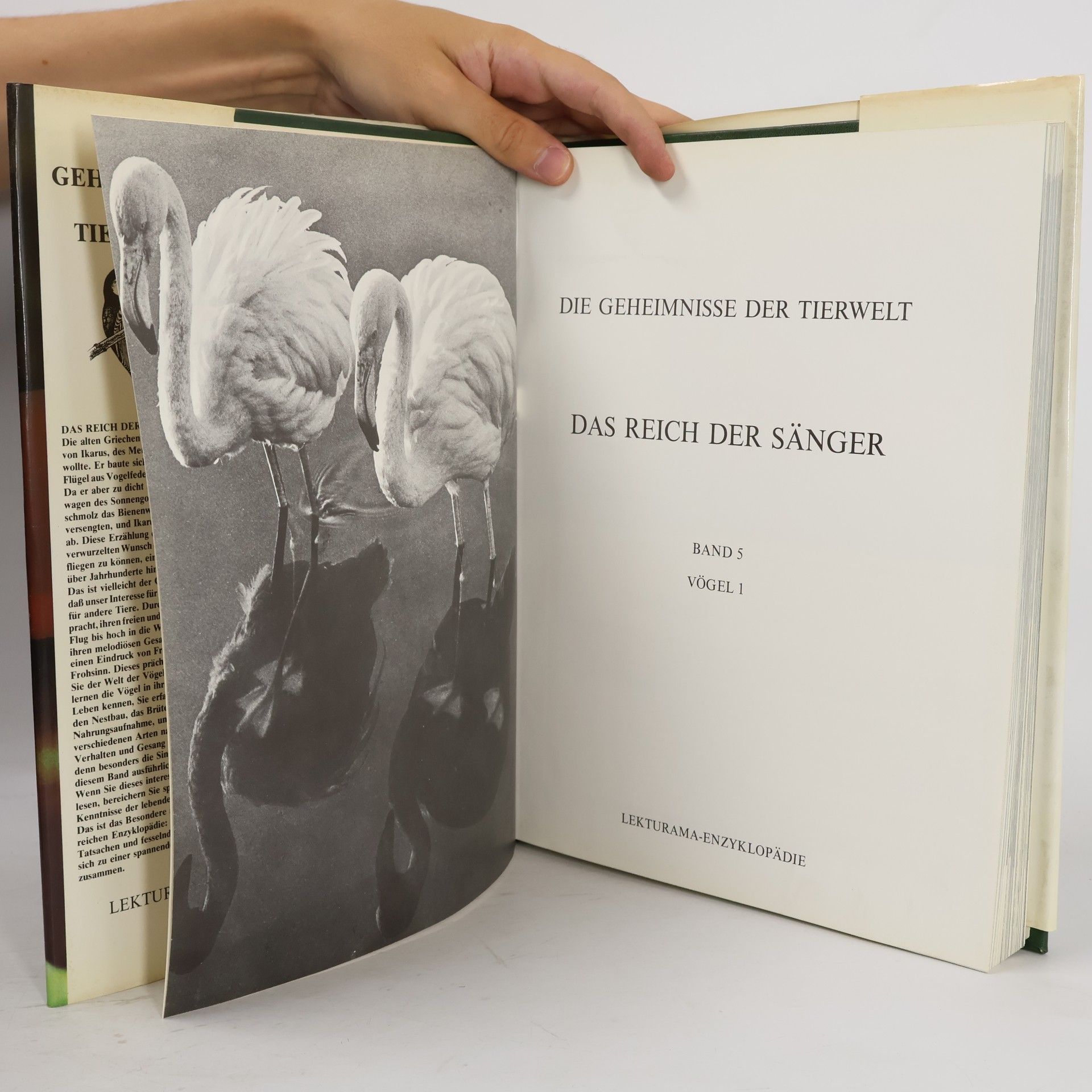 Autores varios Die Geheimnisse der Tierwelt. Das Reich der Sänger. Band 5. Vögel 1