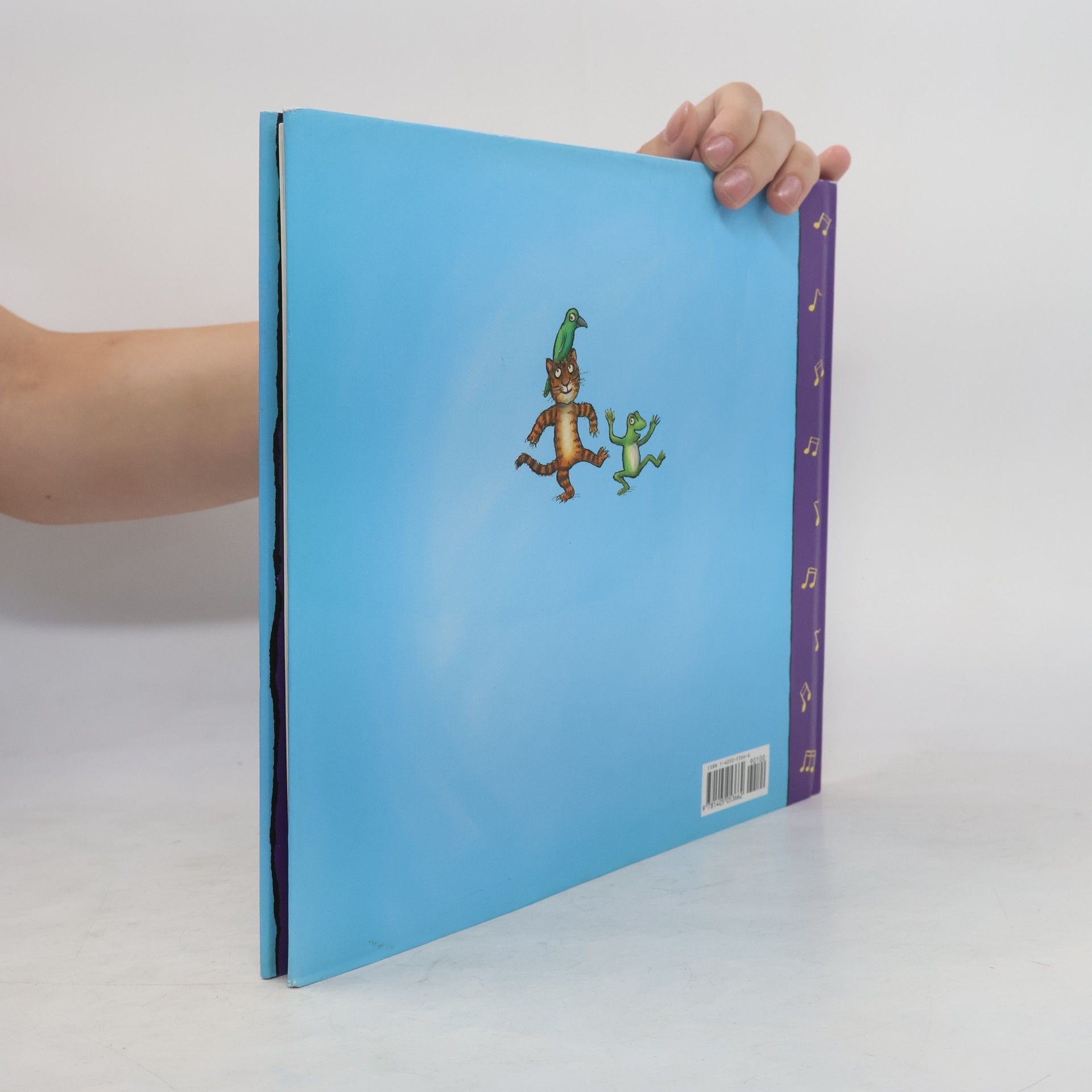 Julia Donaldson Room on the Broom and Other Songs
