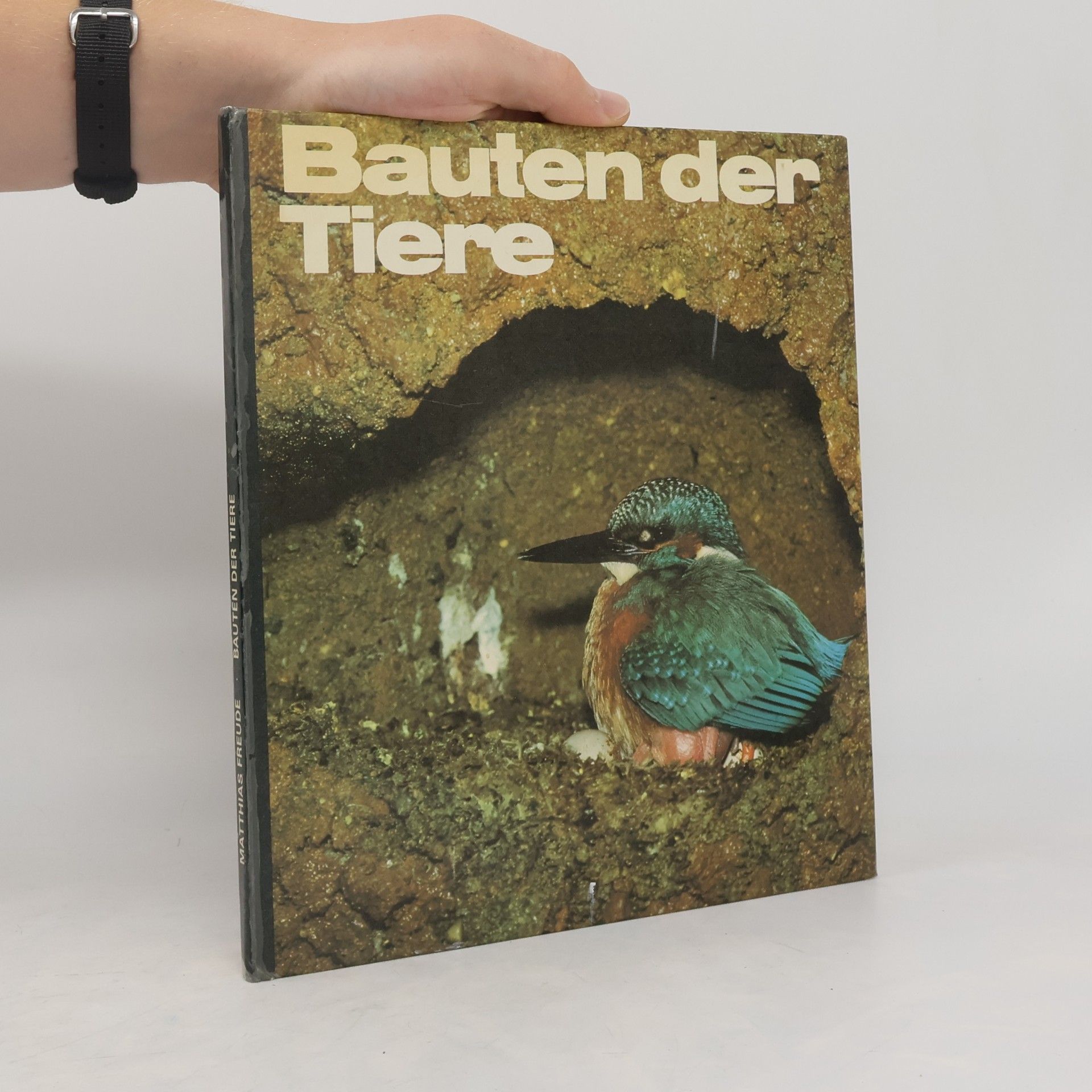 Matthias Freude Bauten der Tiere