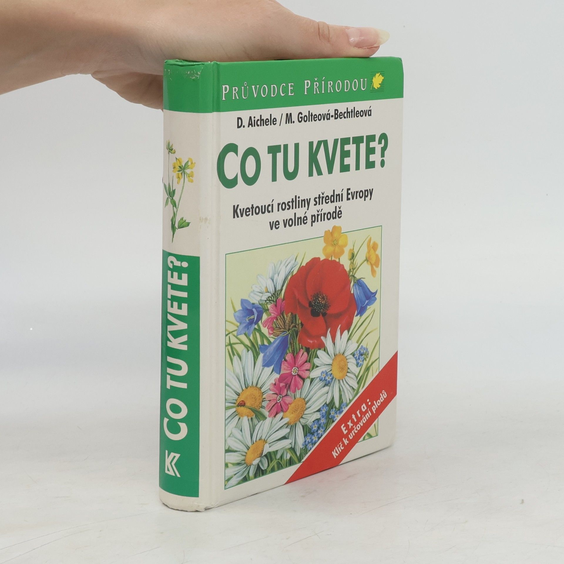 Dietmar Aichele Co tu kvete?