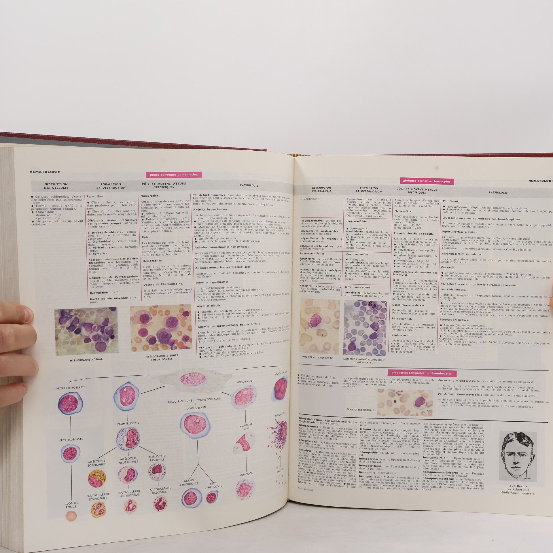 Autores varios Larousse trois volumes en couleurs 2
