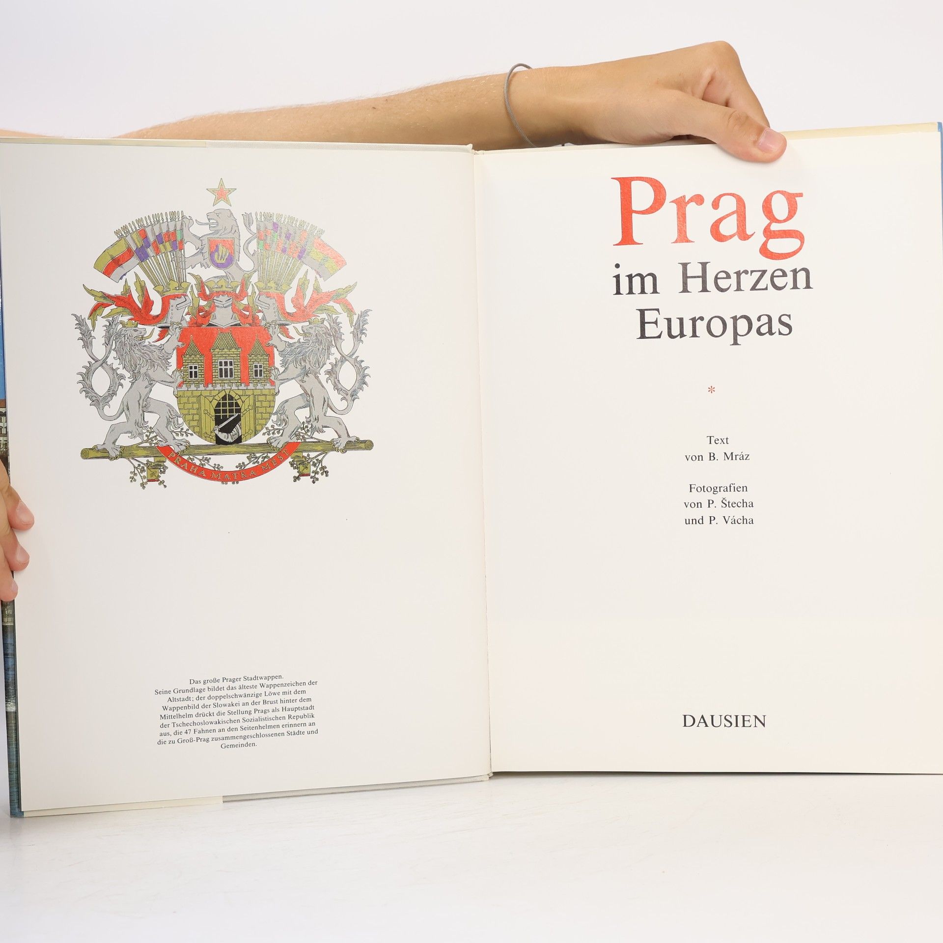 Kolektiv autorů Prag im Herzen Europas
