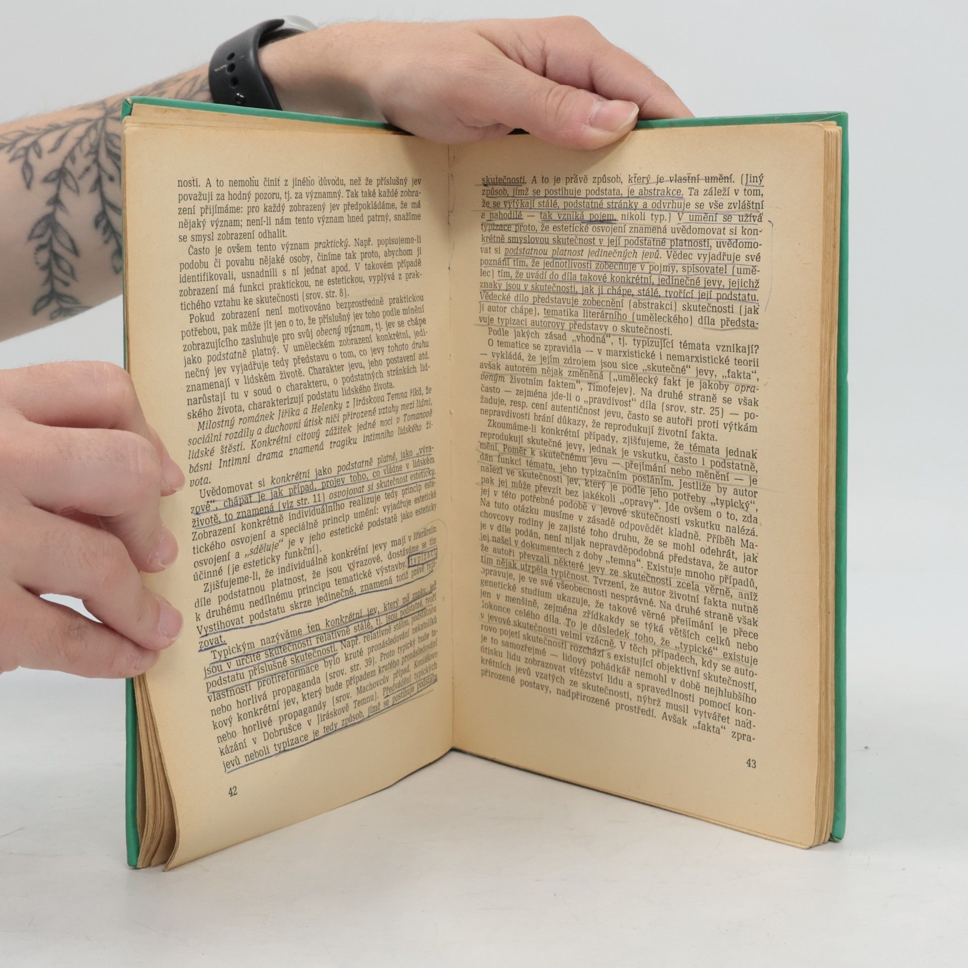 Vladimír Štěpánek Teorie literatury