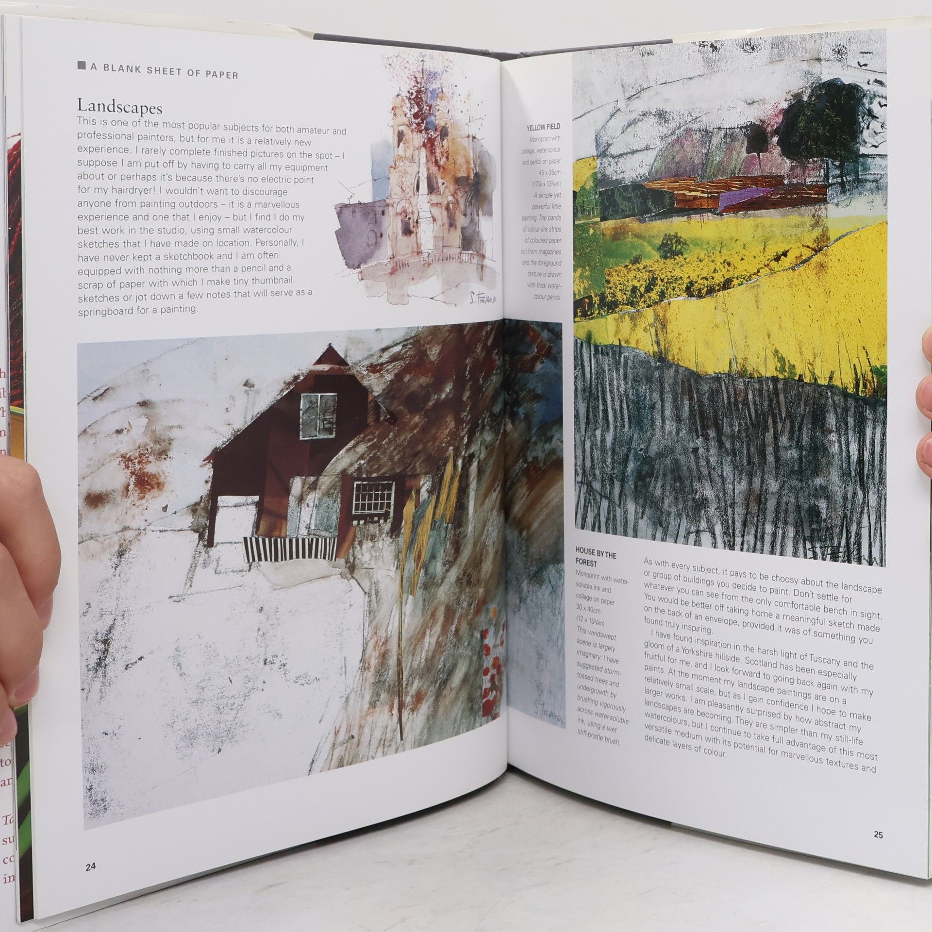 Shirley Trevena Taking Risks with Watercolour