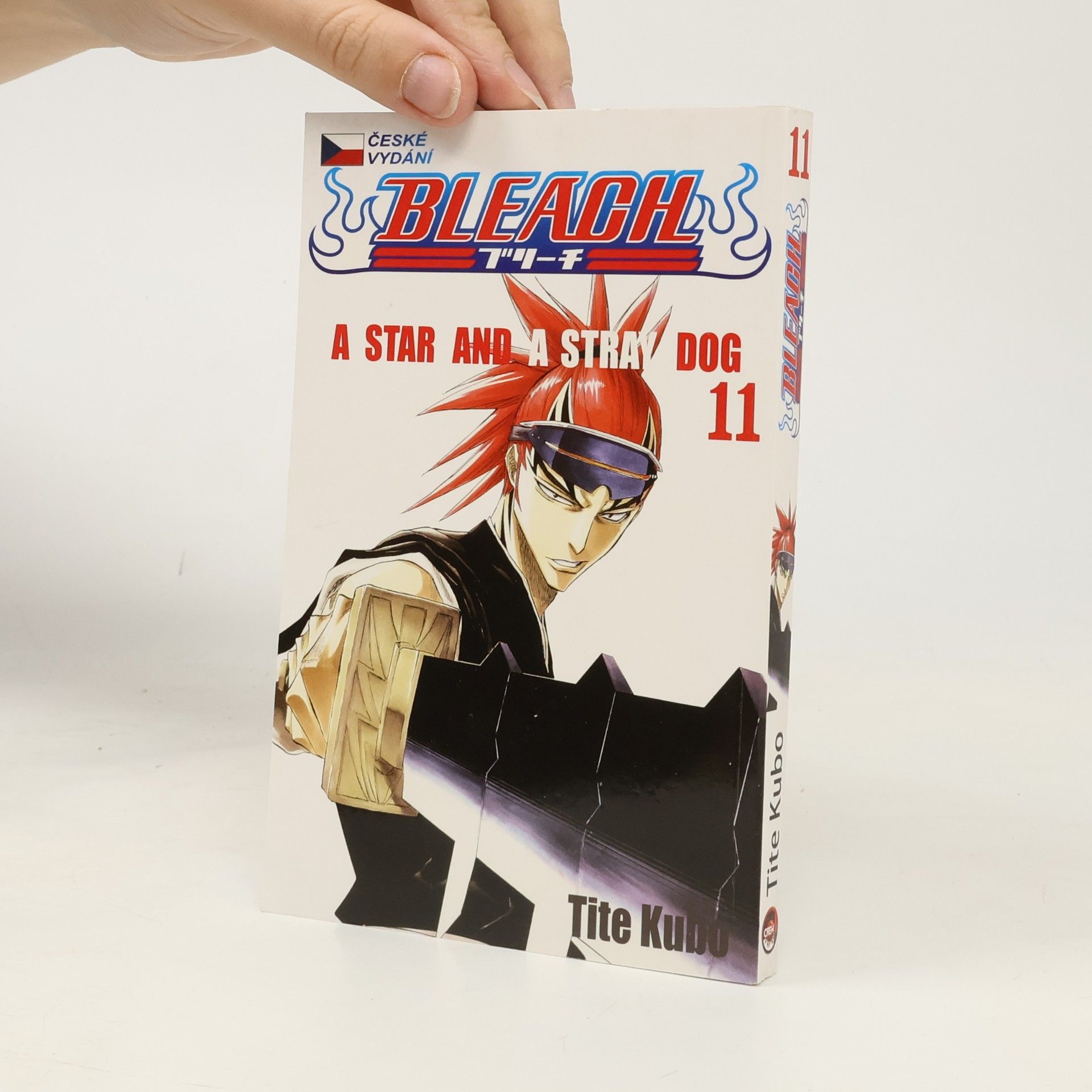 Tite Kubo Bleach 11: A star and a stray dog