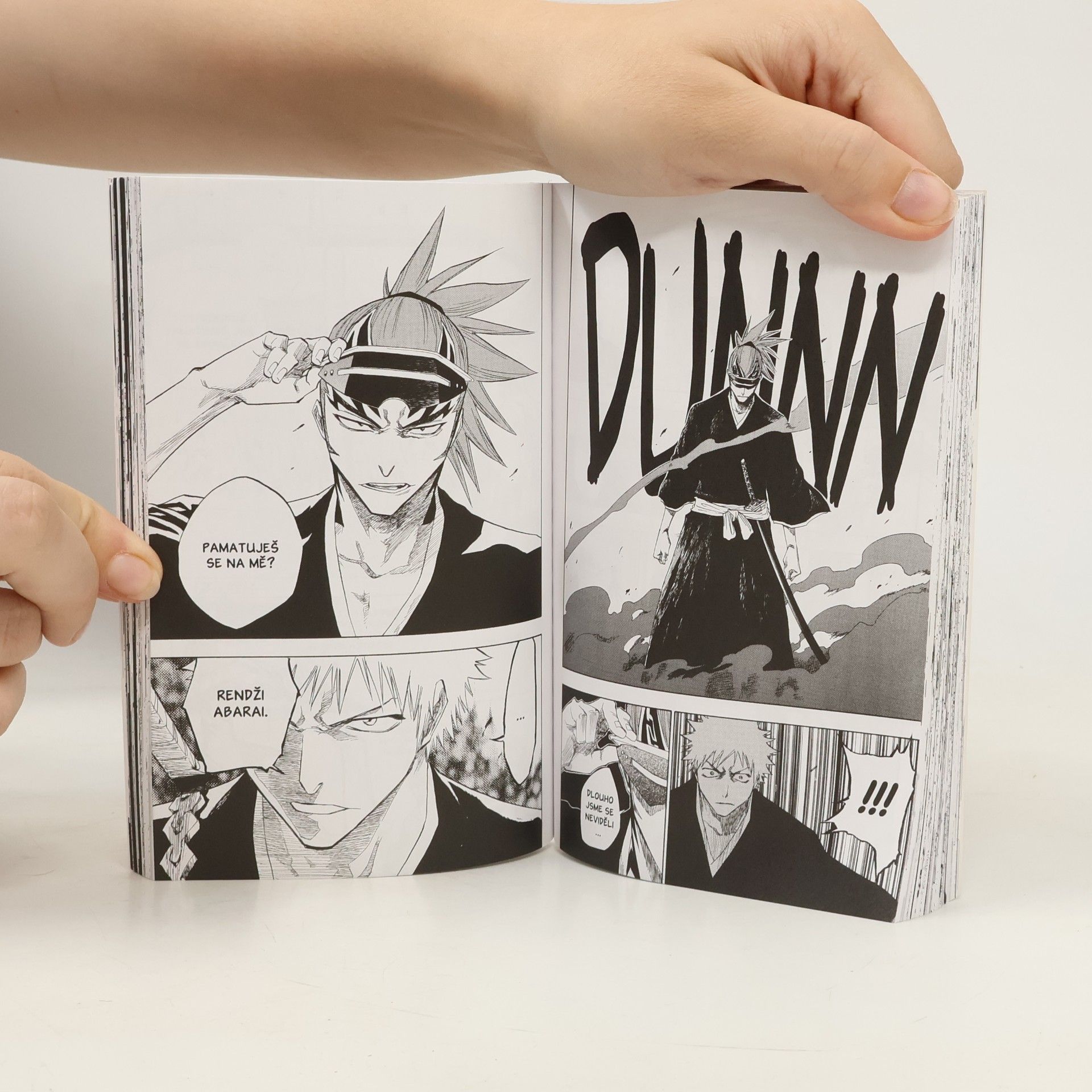Tite Kubo Bleach 11: A star and a stray dog