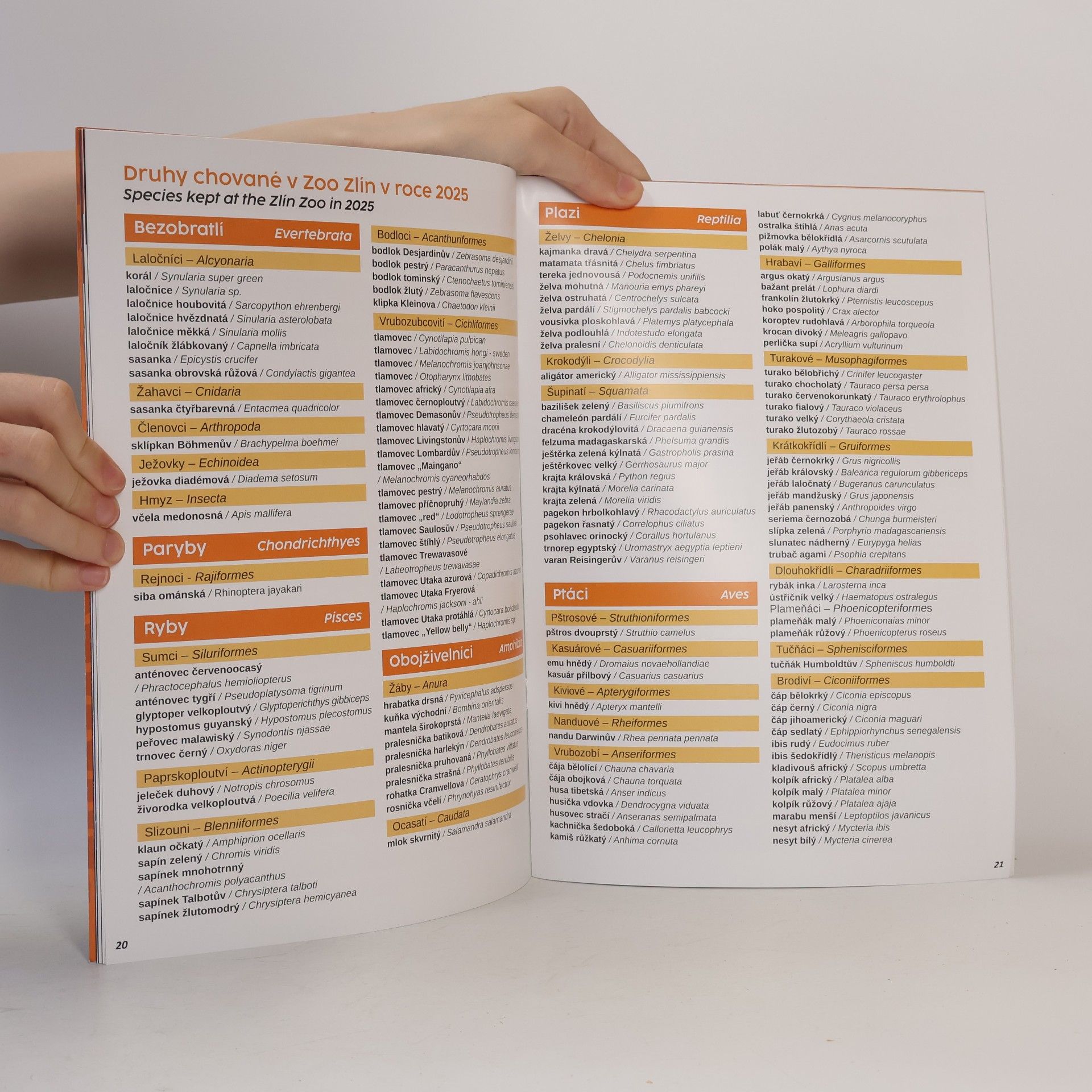 Various authors Výroční zprávu Zoo Zlín 2025