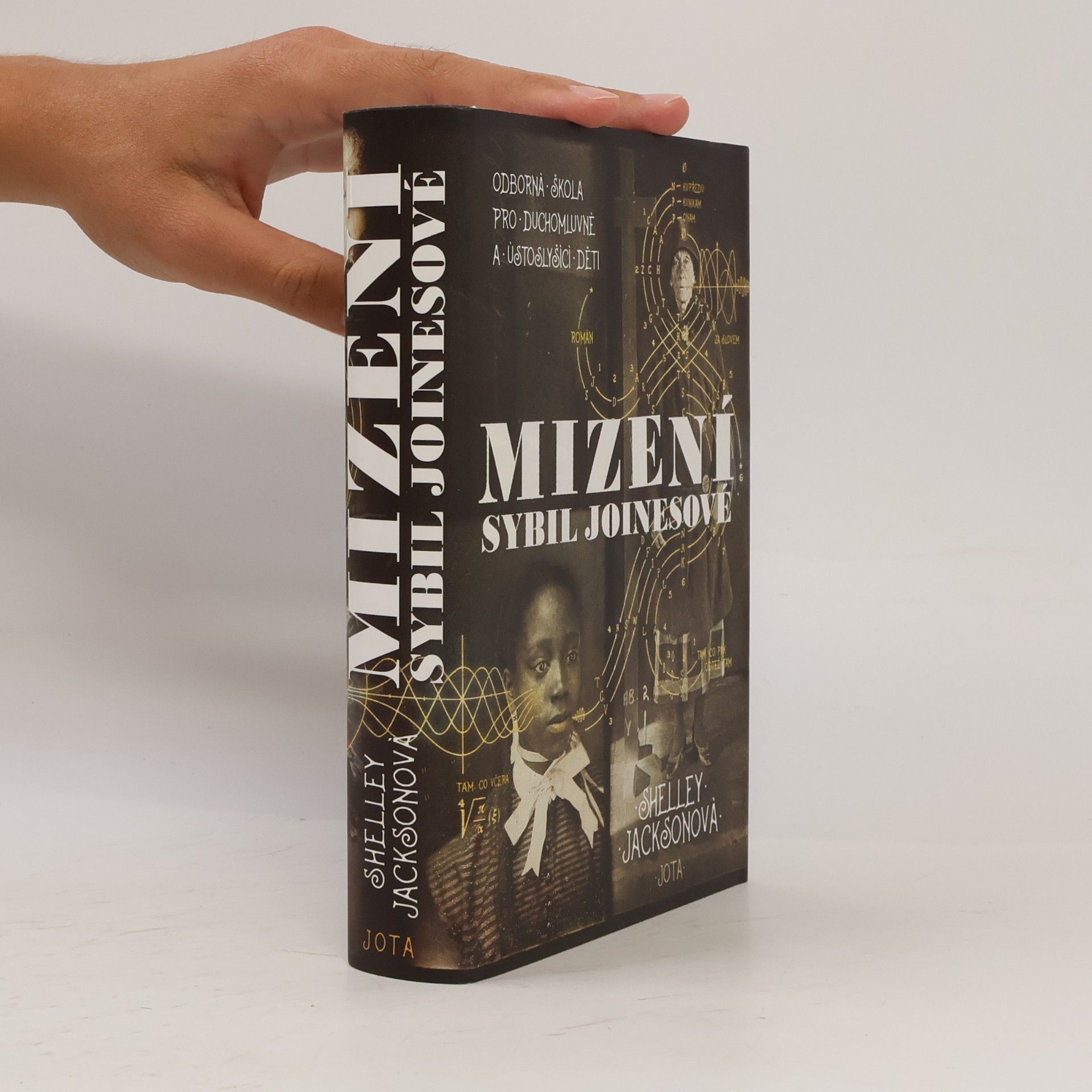 Shelley Jackson Mizení Sybil Joinesové