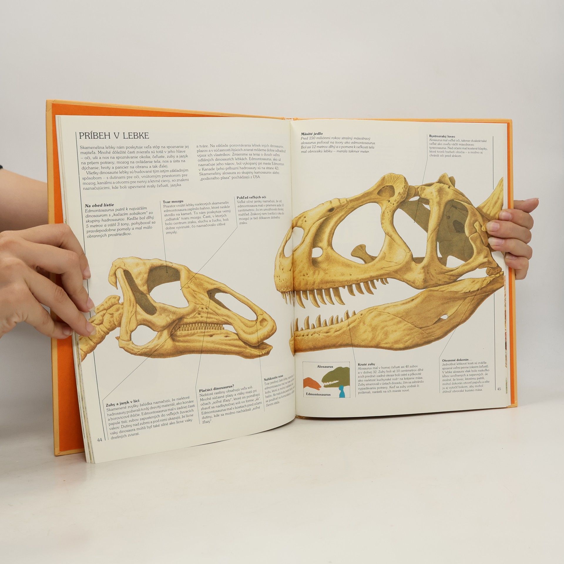 Steve Parker Ako žili dinosaury