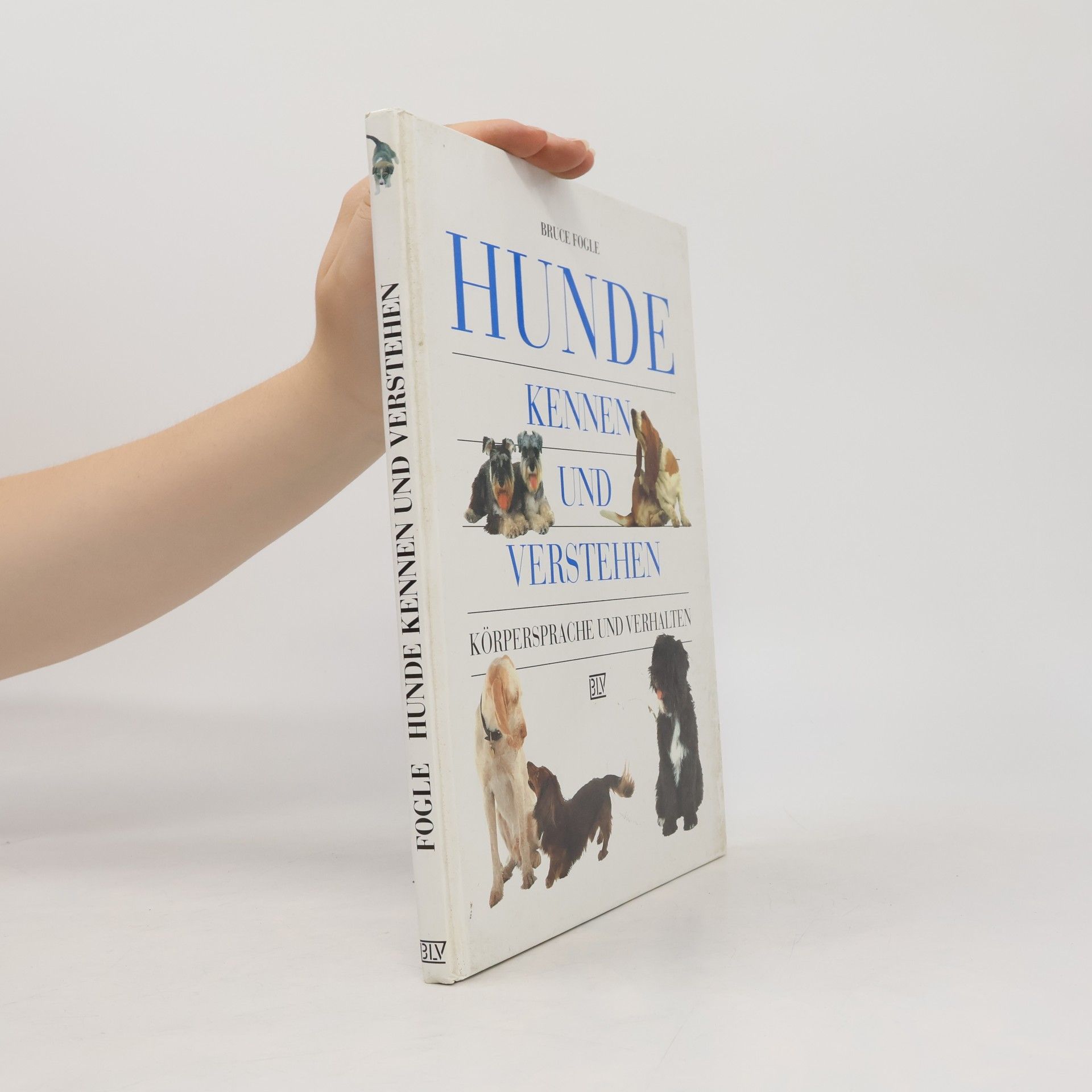 Bruce Folge Hunde kennen und verstehen