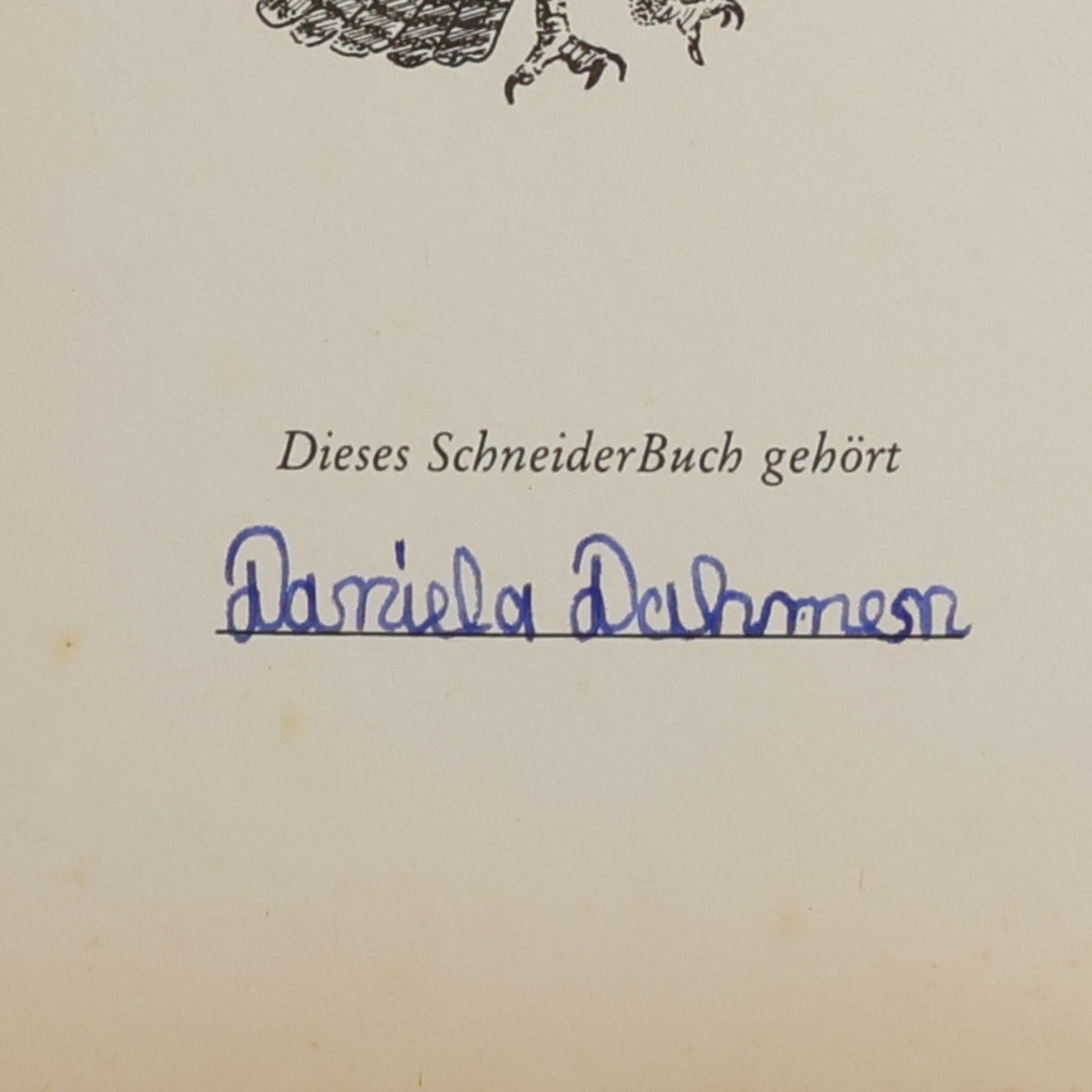 Andrea Pabel El Moro und seine Herde