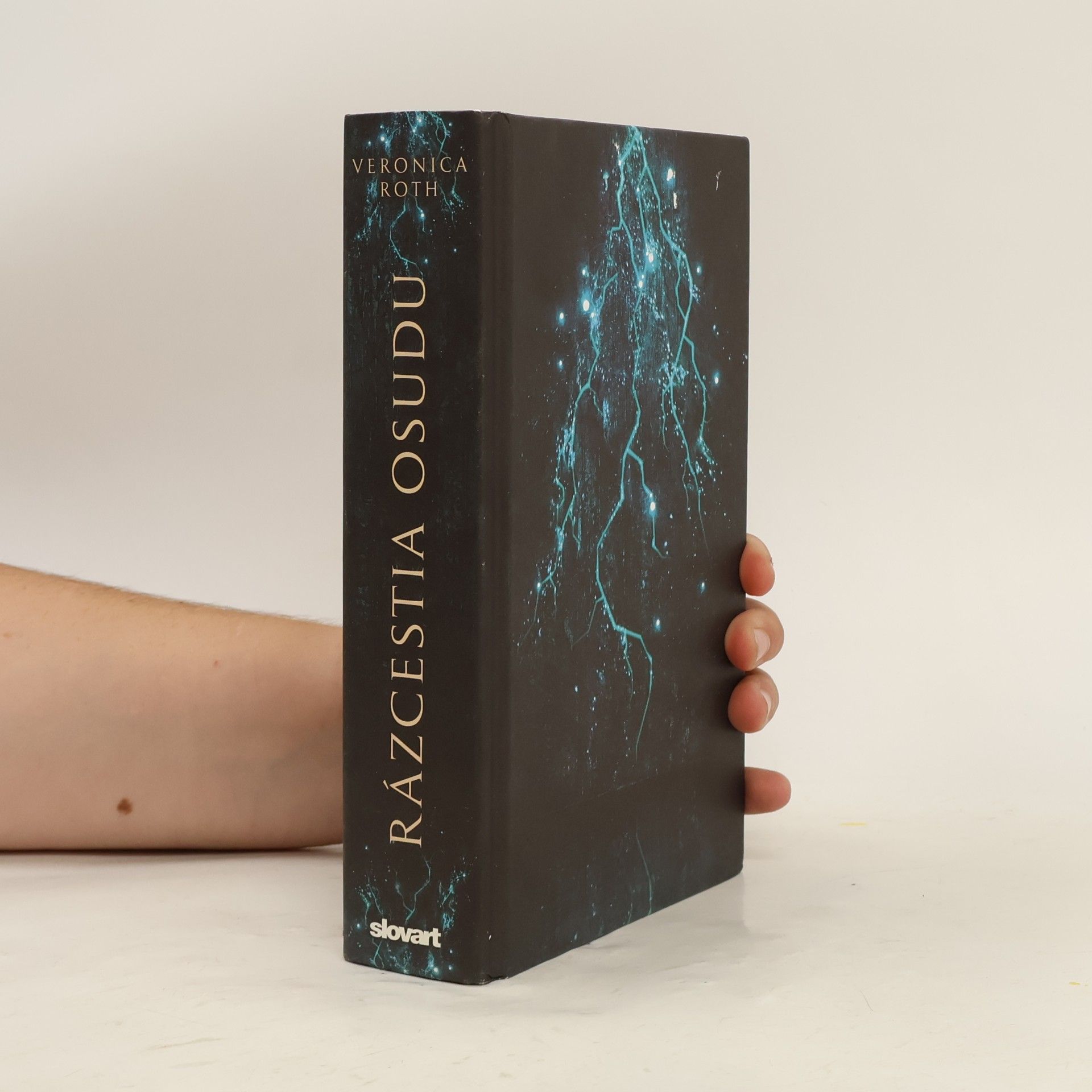 Veronica Roth Rázcestia osudu