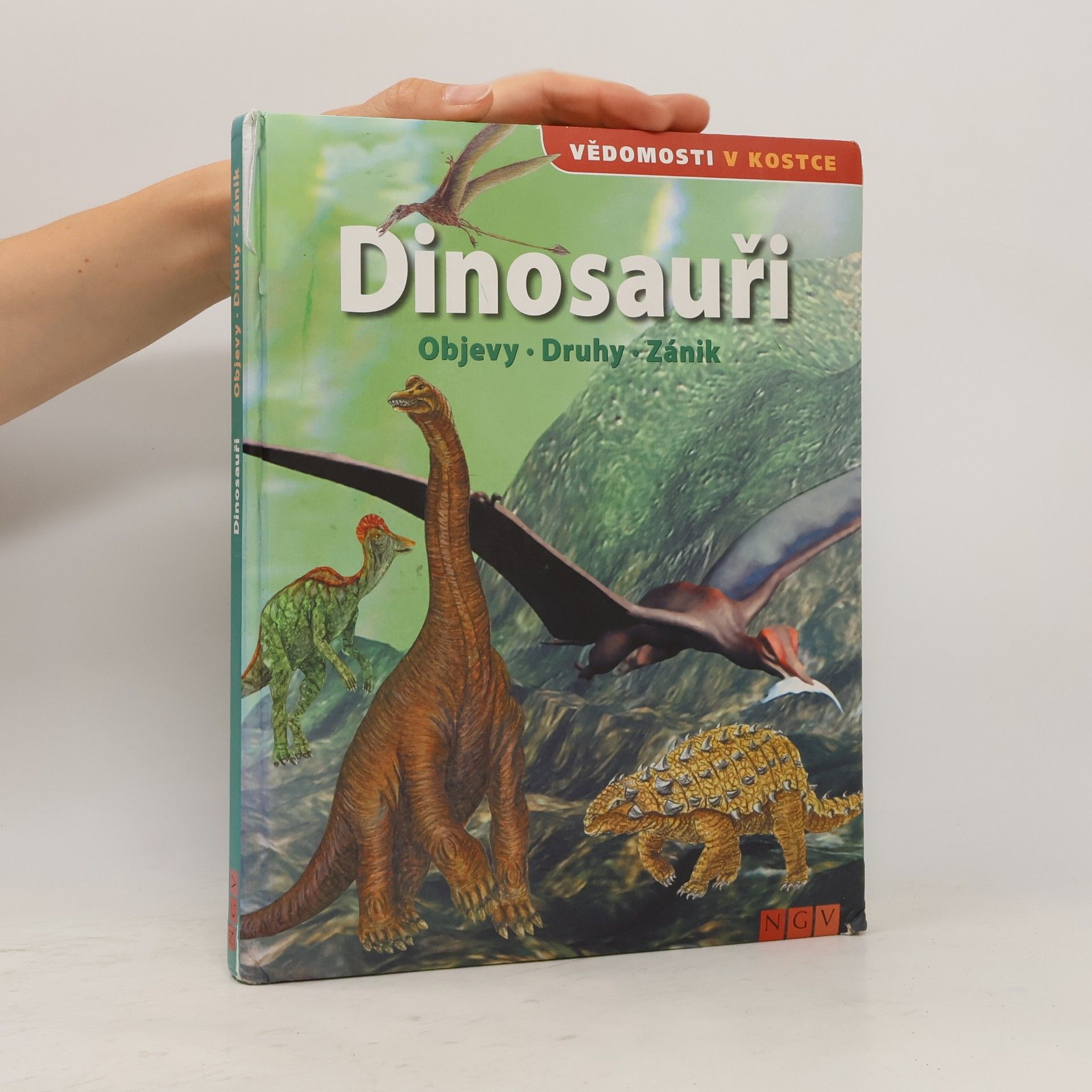 Autorenkollektiv Dinosauři