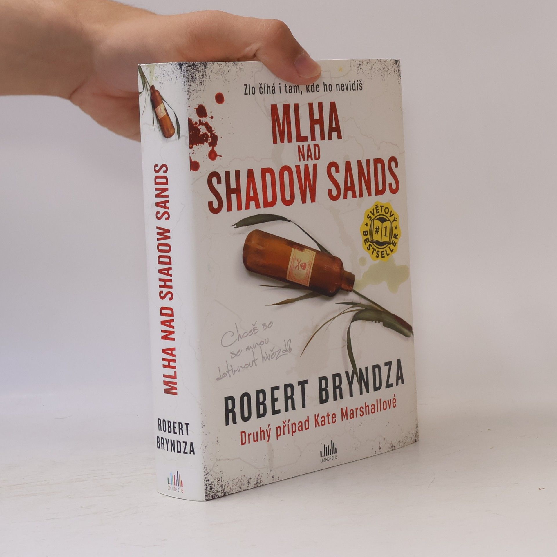 Robert Bryndza Mlha nad Shadow Sands