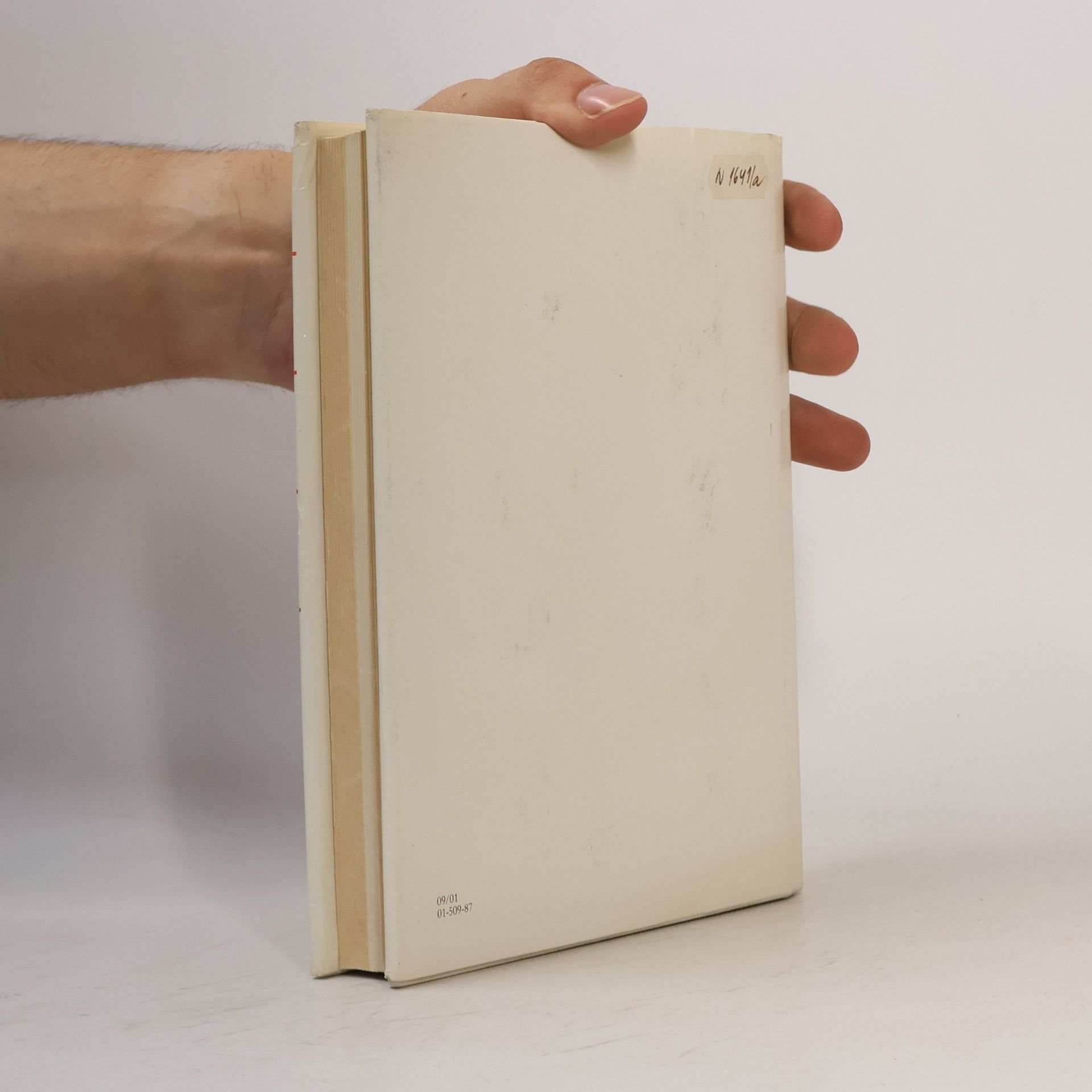 Kolektiv autorů Kapitoly z českého dějepisu. Umění I.
