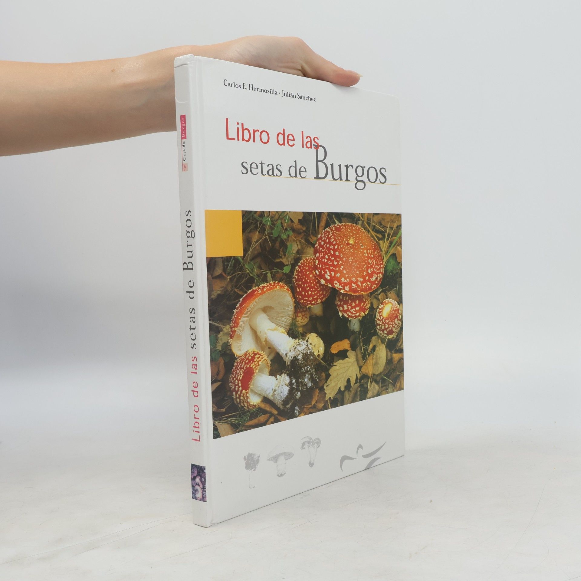 Libro de las setas de Burgos