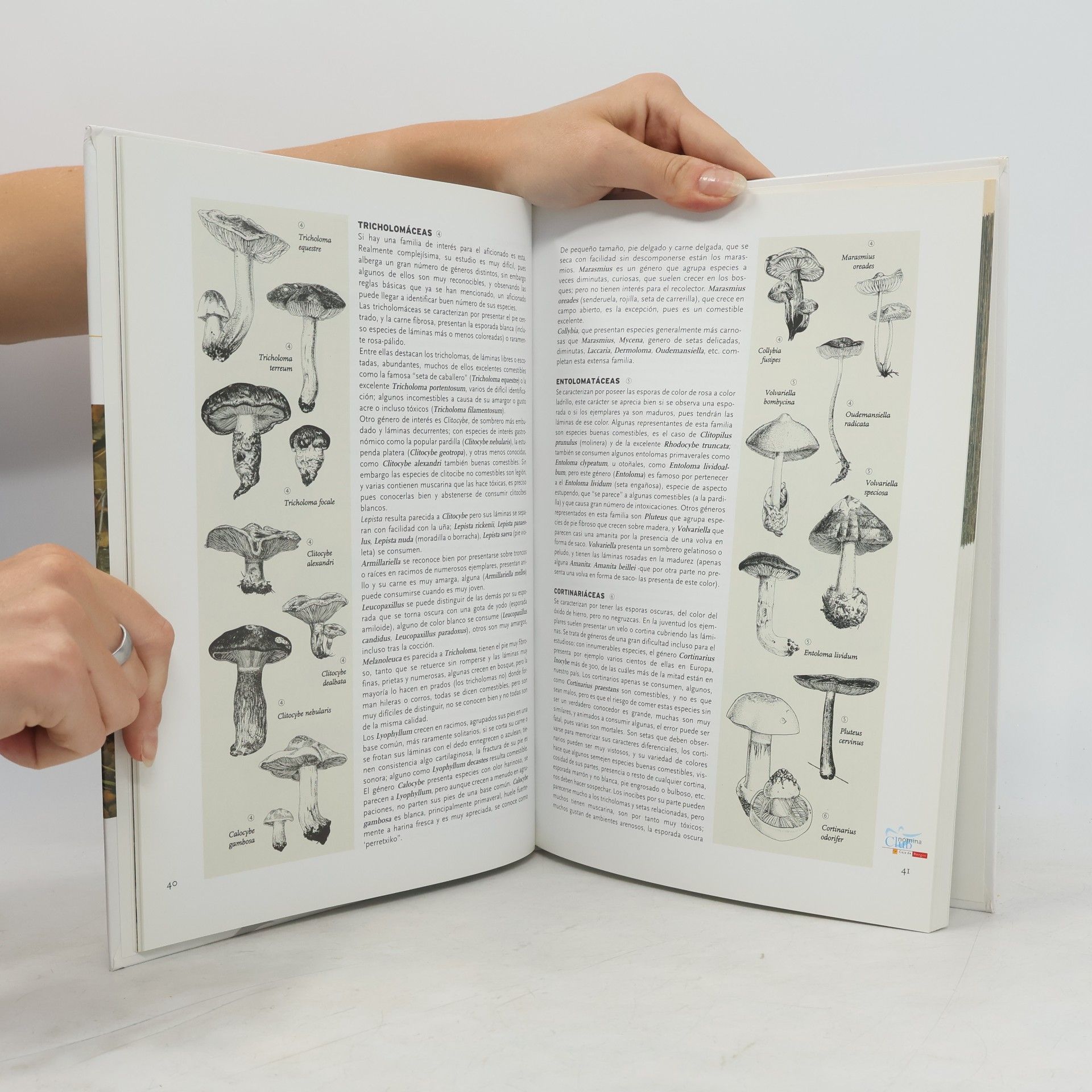Carlos E. Hermosilla Libro de las setas de Burgos