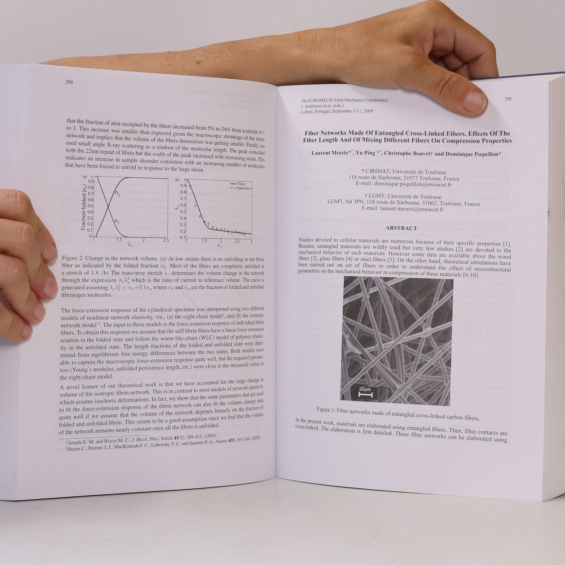 Various authors ESMC2009: Proceedings of the 7th EUROMECH Solid Mechanics Conference, Book of Abstracts: Mini-Symposia