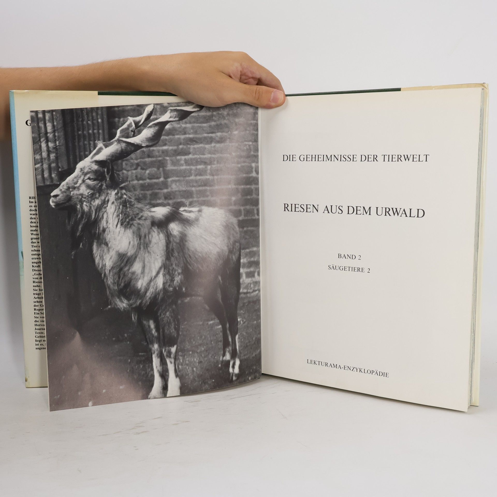 Autorenkollektiv Die Geheimnisse der Tierwelt: Riesen aus dem Urwald, Band 2