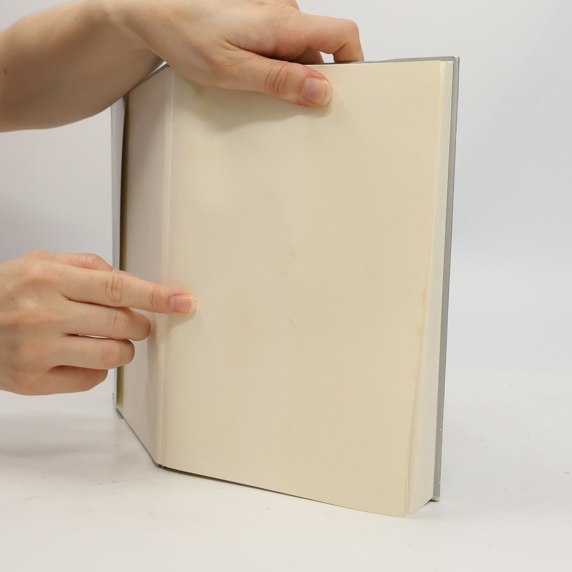 Autores varios Bildnisse evangelischer Menschen