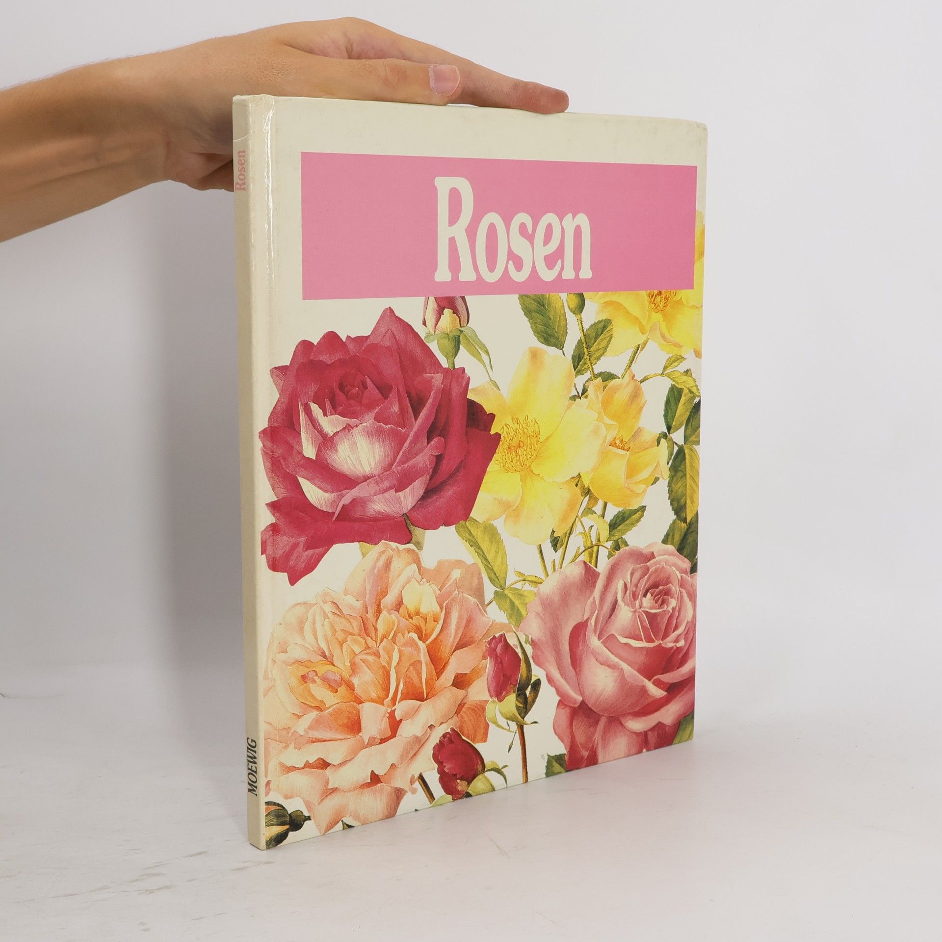 Grazia Poldner-Cecchini Rosen