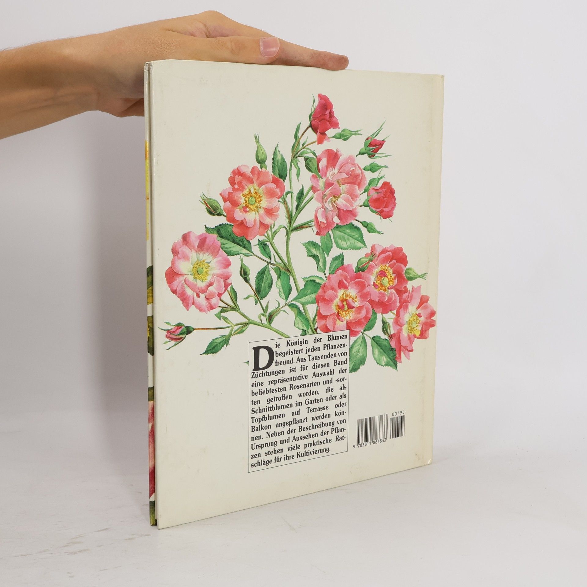 Grazia Poldner-Cecchini Rosen