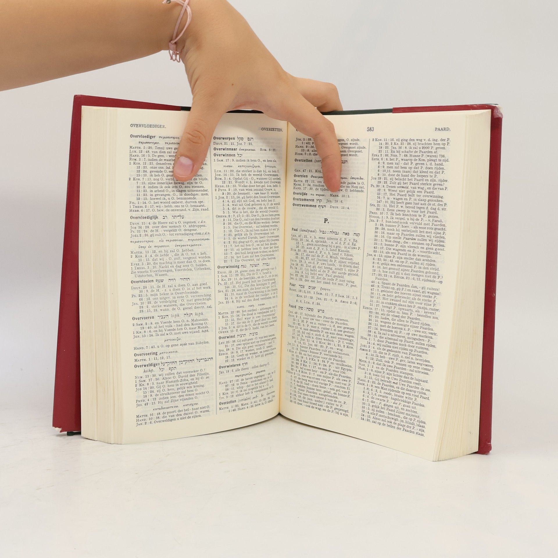Trommius Nederlandse Concordantie van de Bijbel
