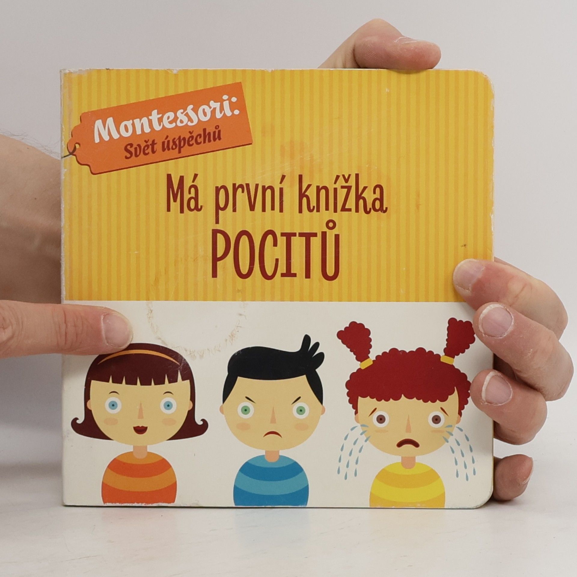 Chiara Piroddi Má první knížka pocitů