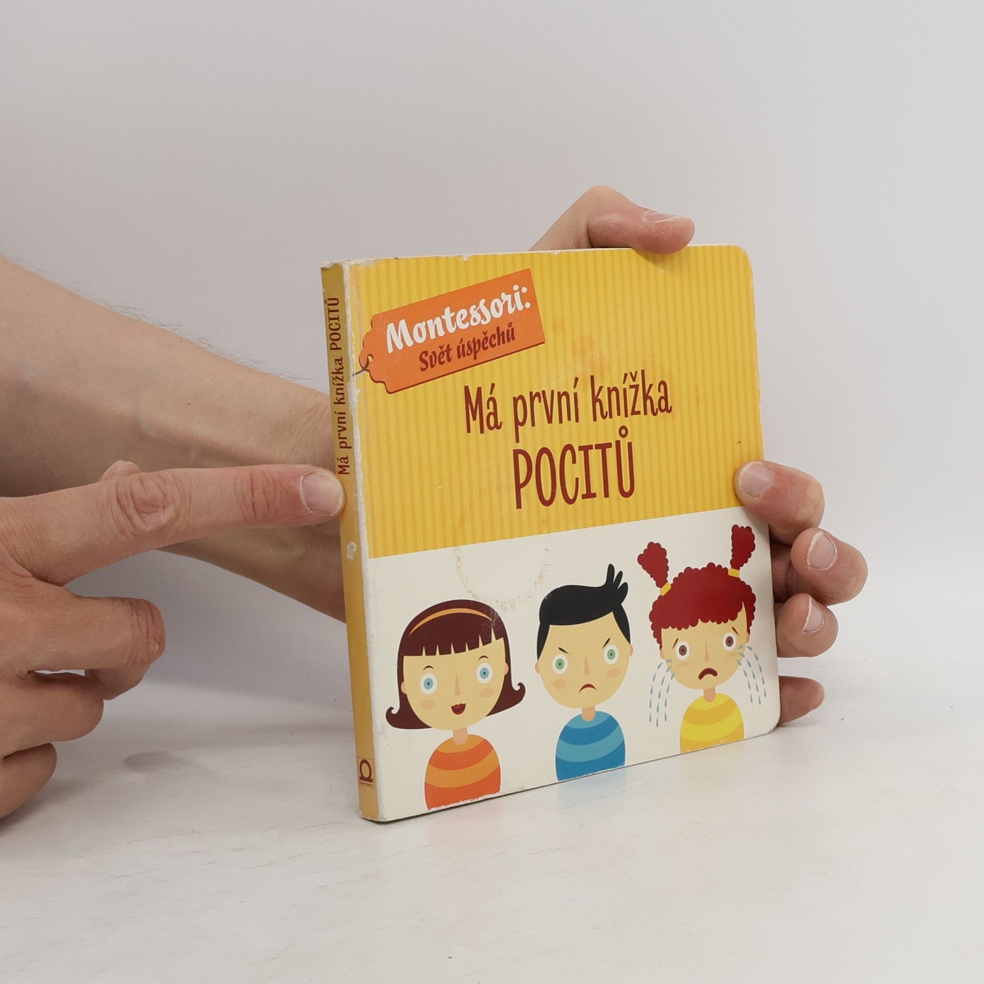 Chiara Piroddi Má první knížka pocitů