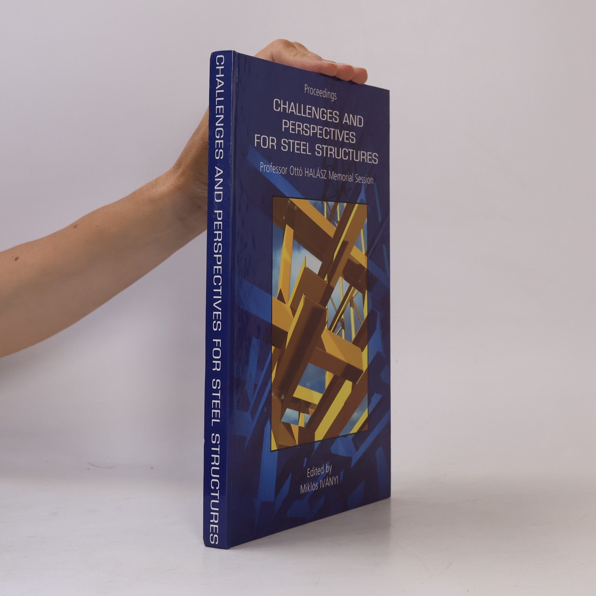 Challenges and Perspectives for Steel Structures