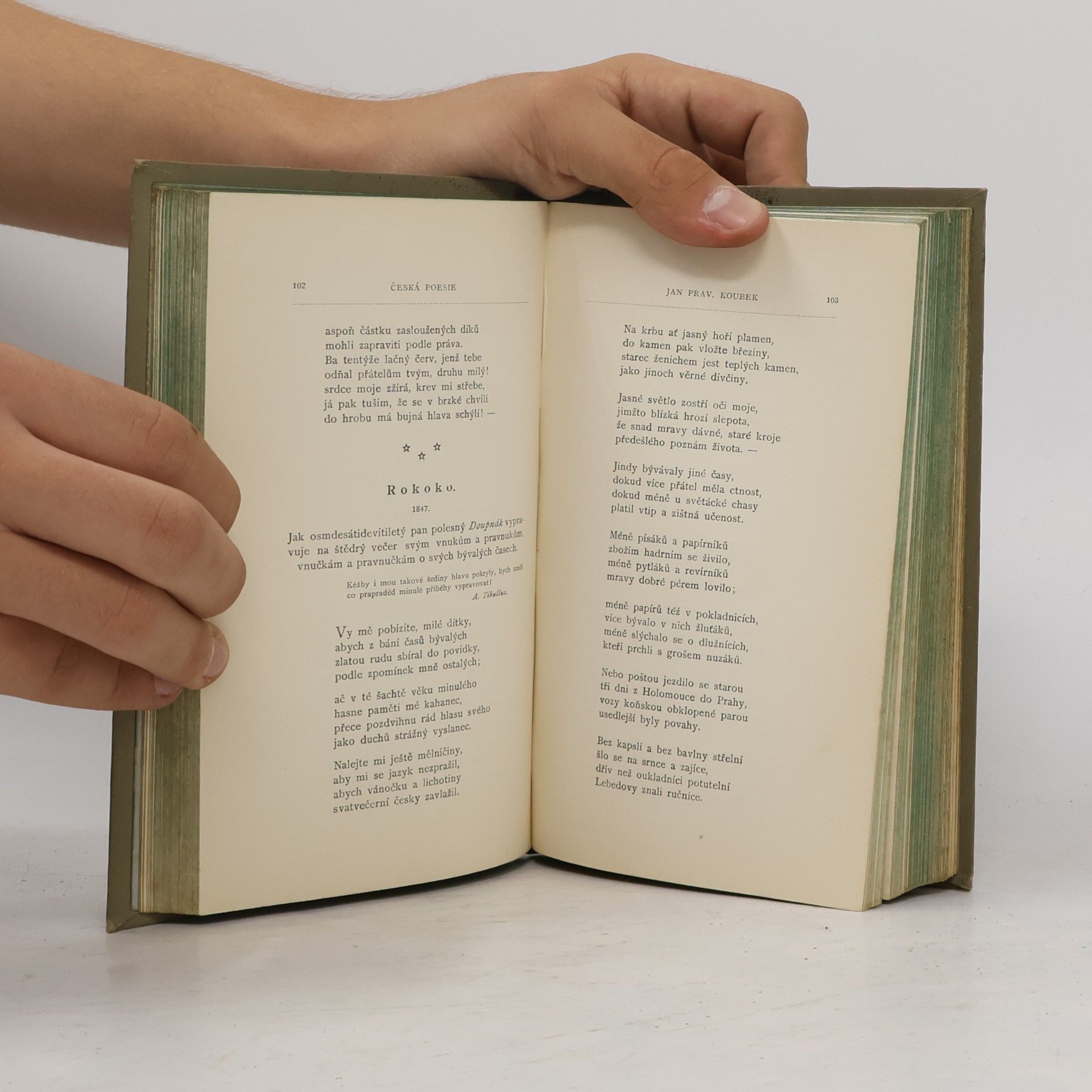 Kolektiv autorů Česká poesie XIX. věku. I. díl
