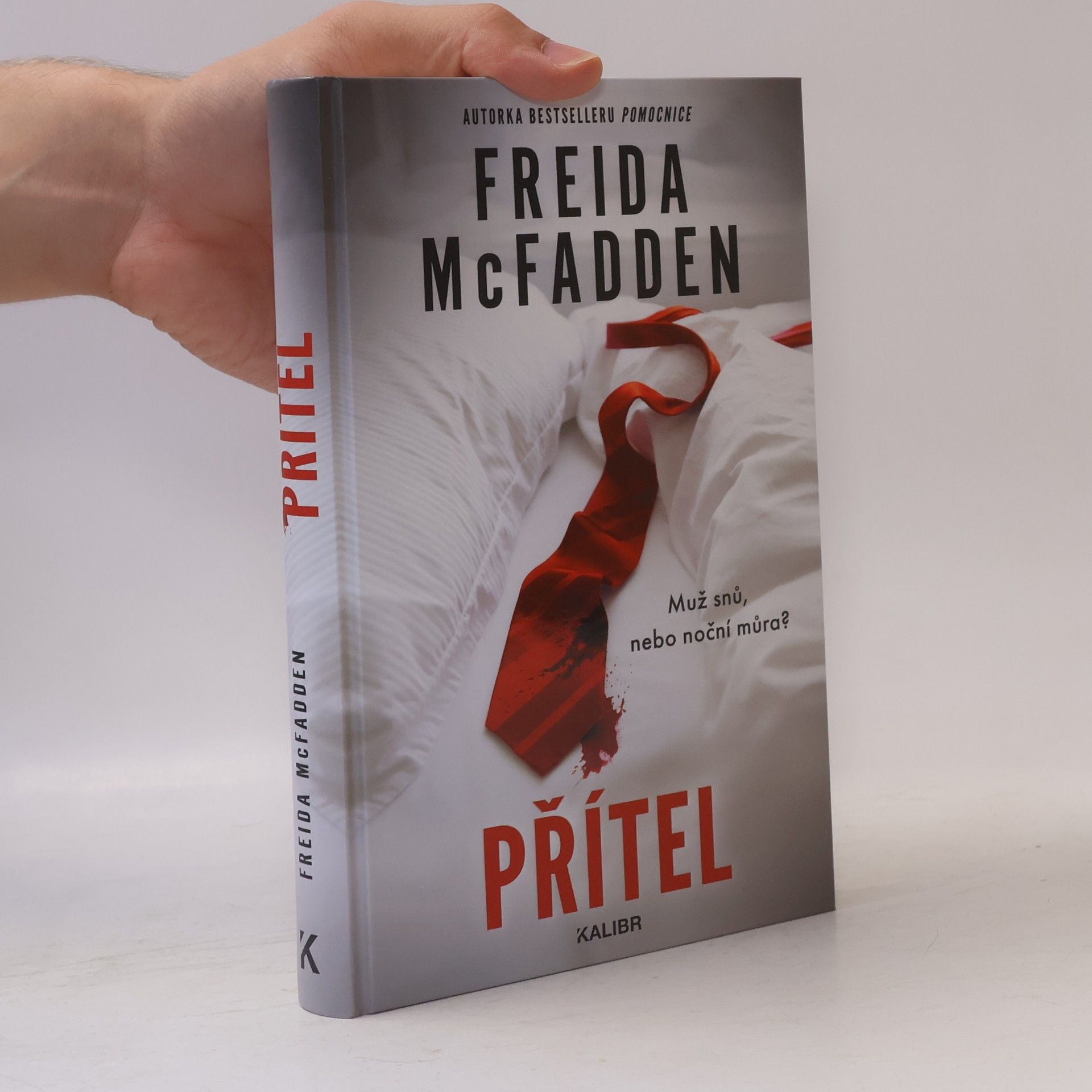 Freida McFadden Přítel